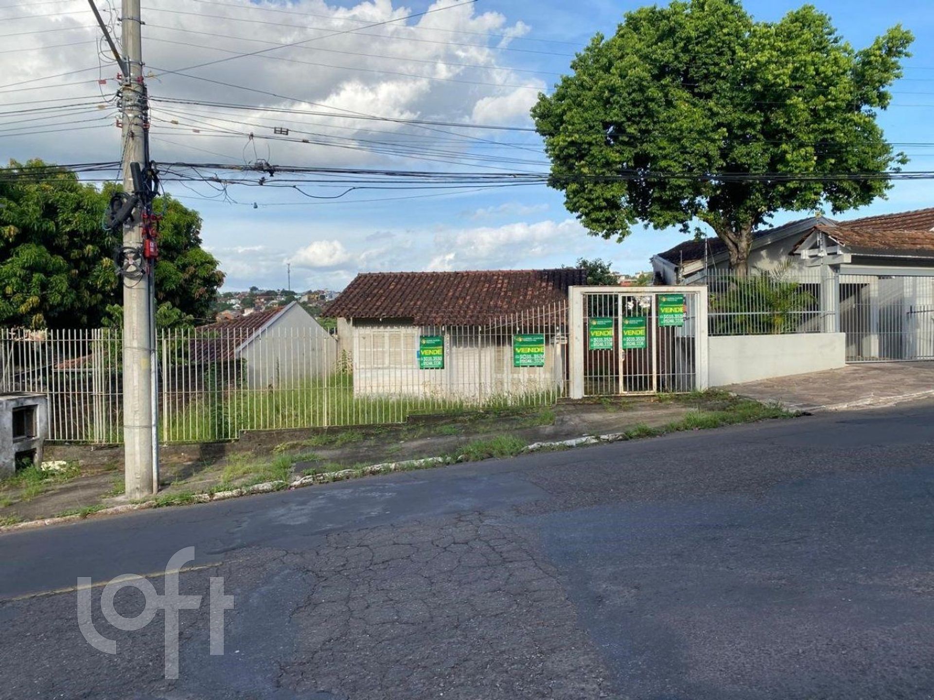 Imagem da propriedade 7