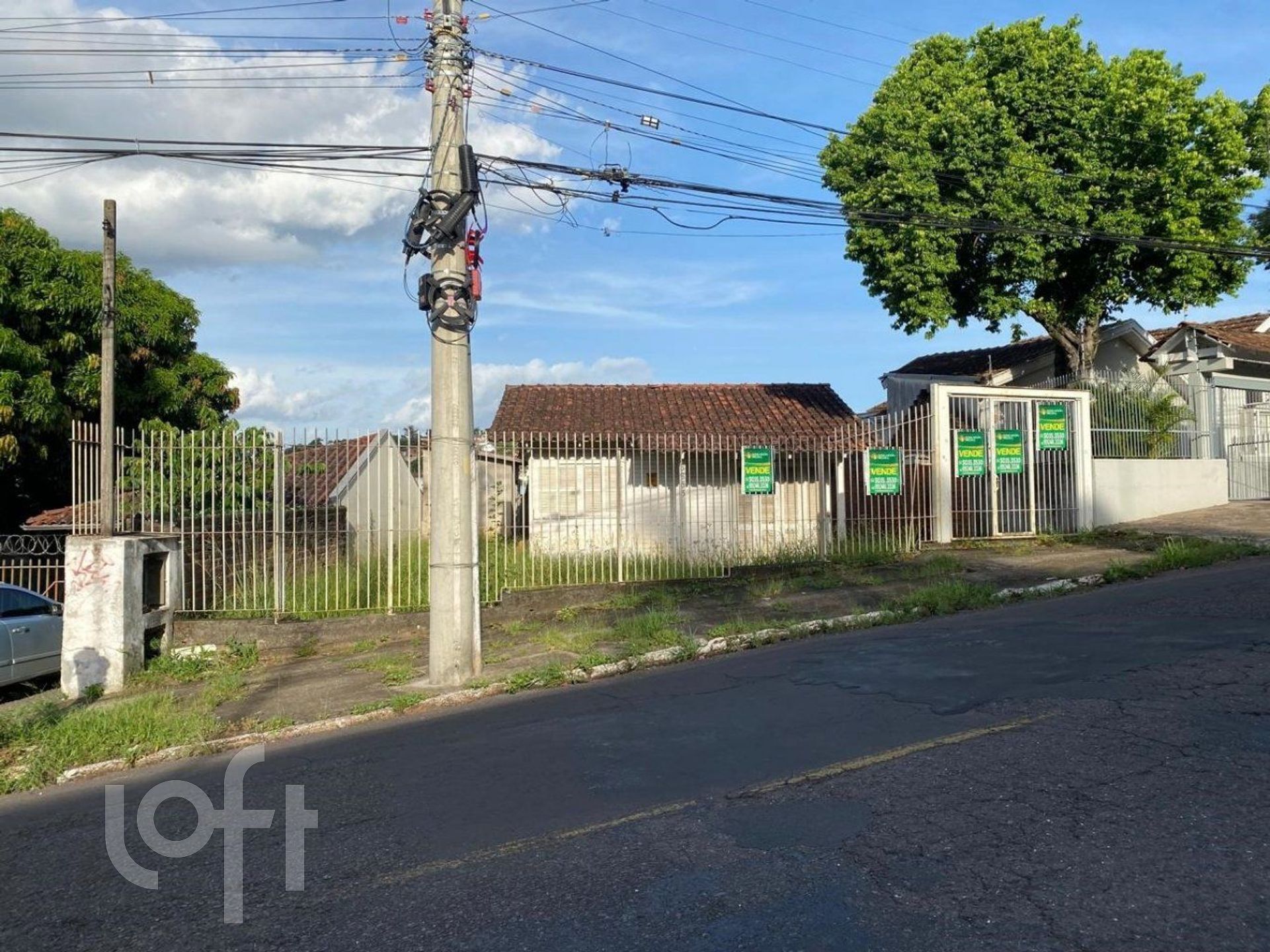 Imagem da propriedade 6