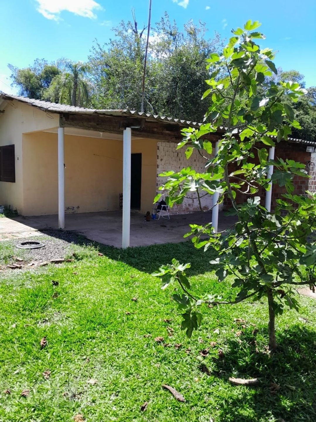 Imagem da propriedade 19