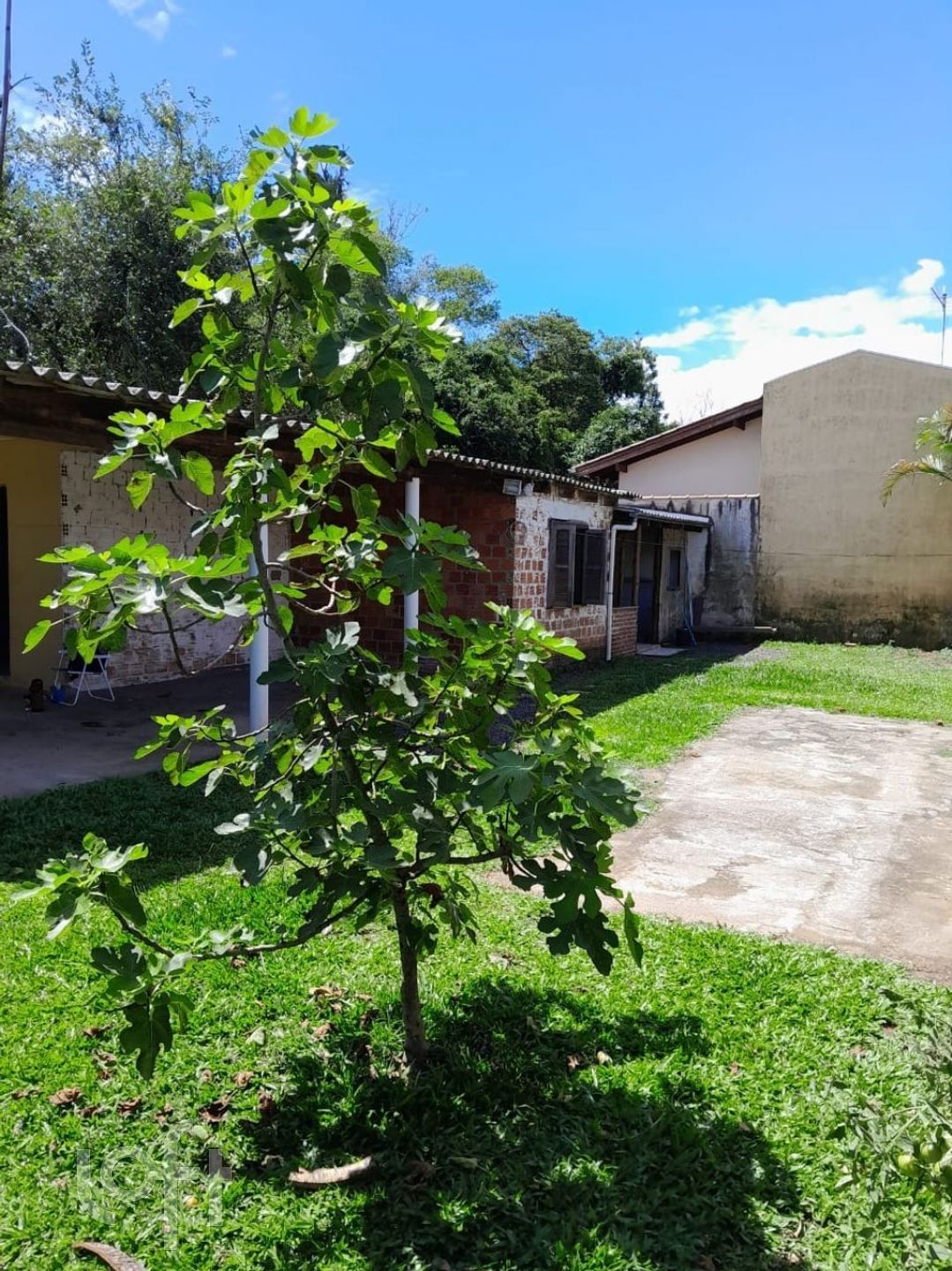 Imagem da propriedade 20