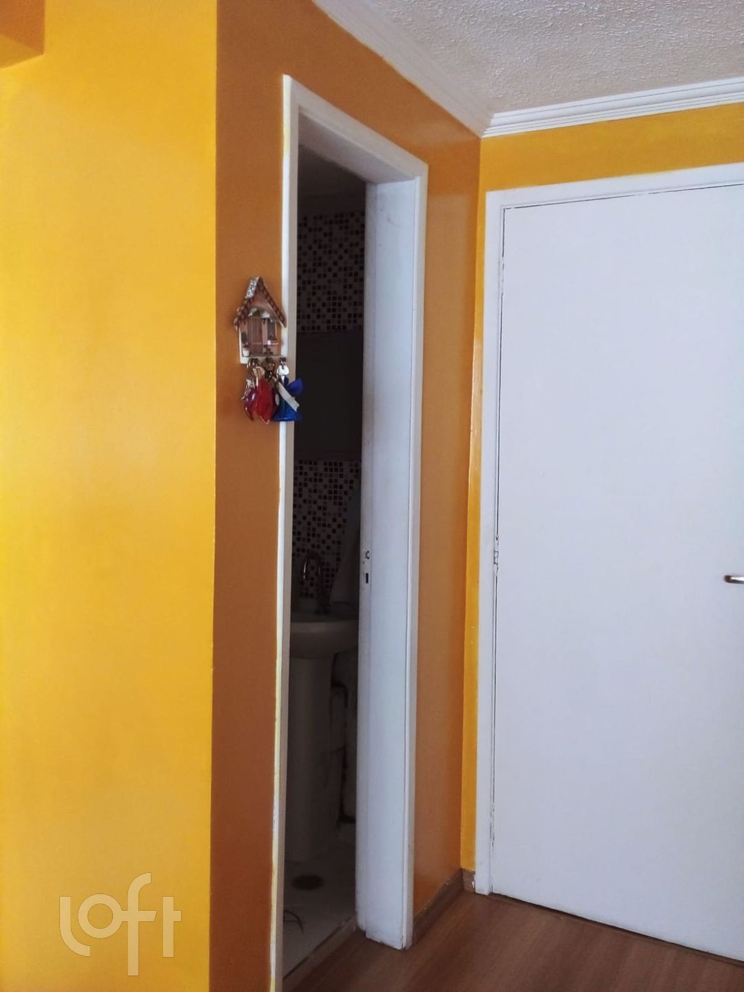 Imagem da propriedade 6