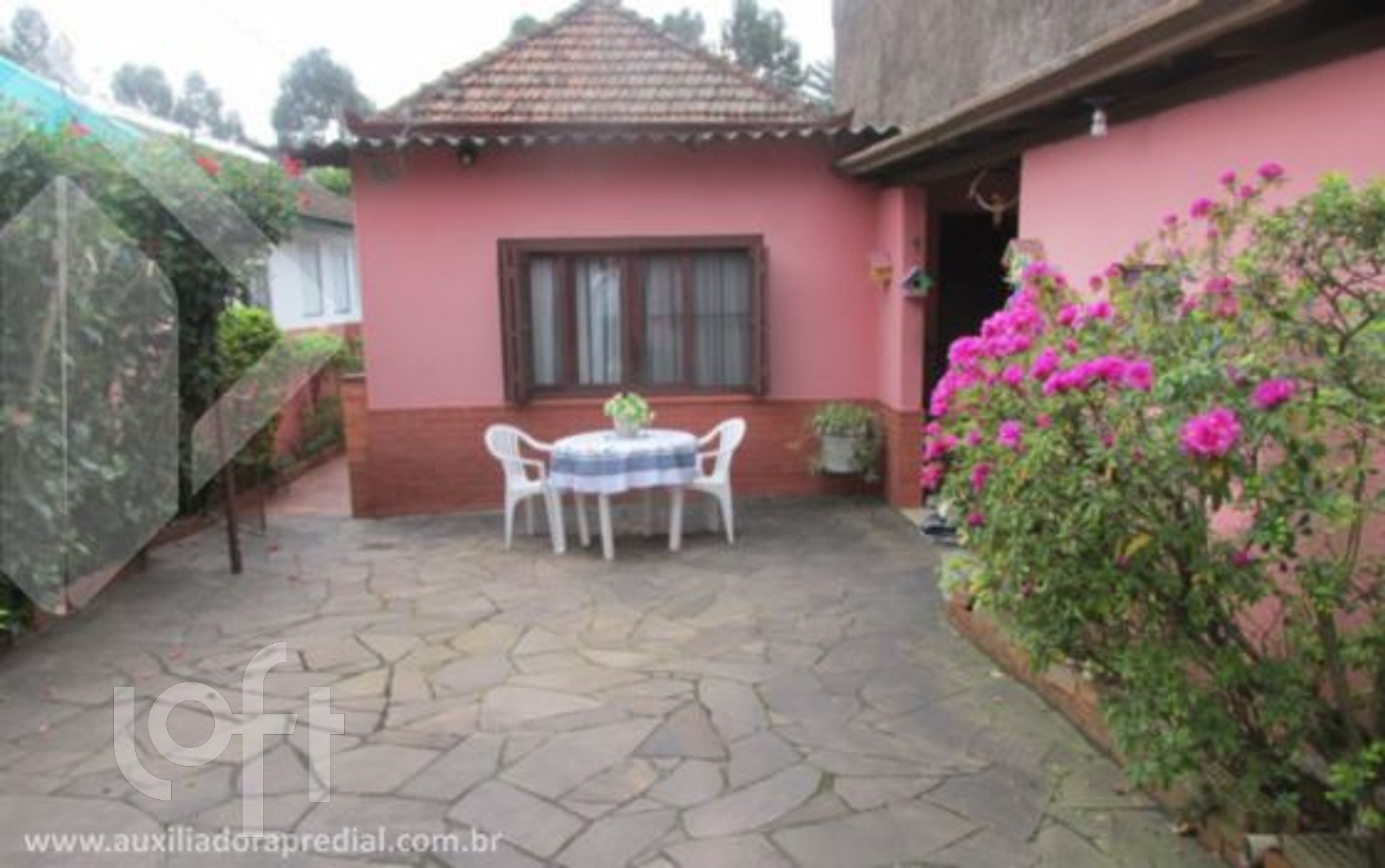 Imagem da propriedade 21