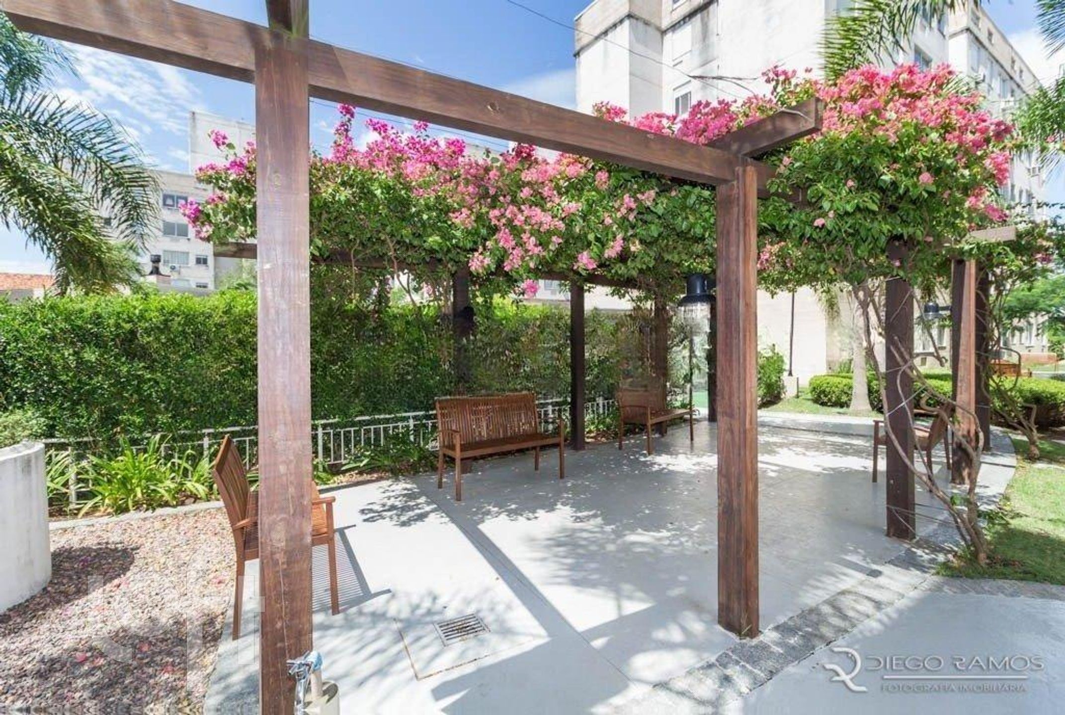 Imagem da propriedade 6