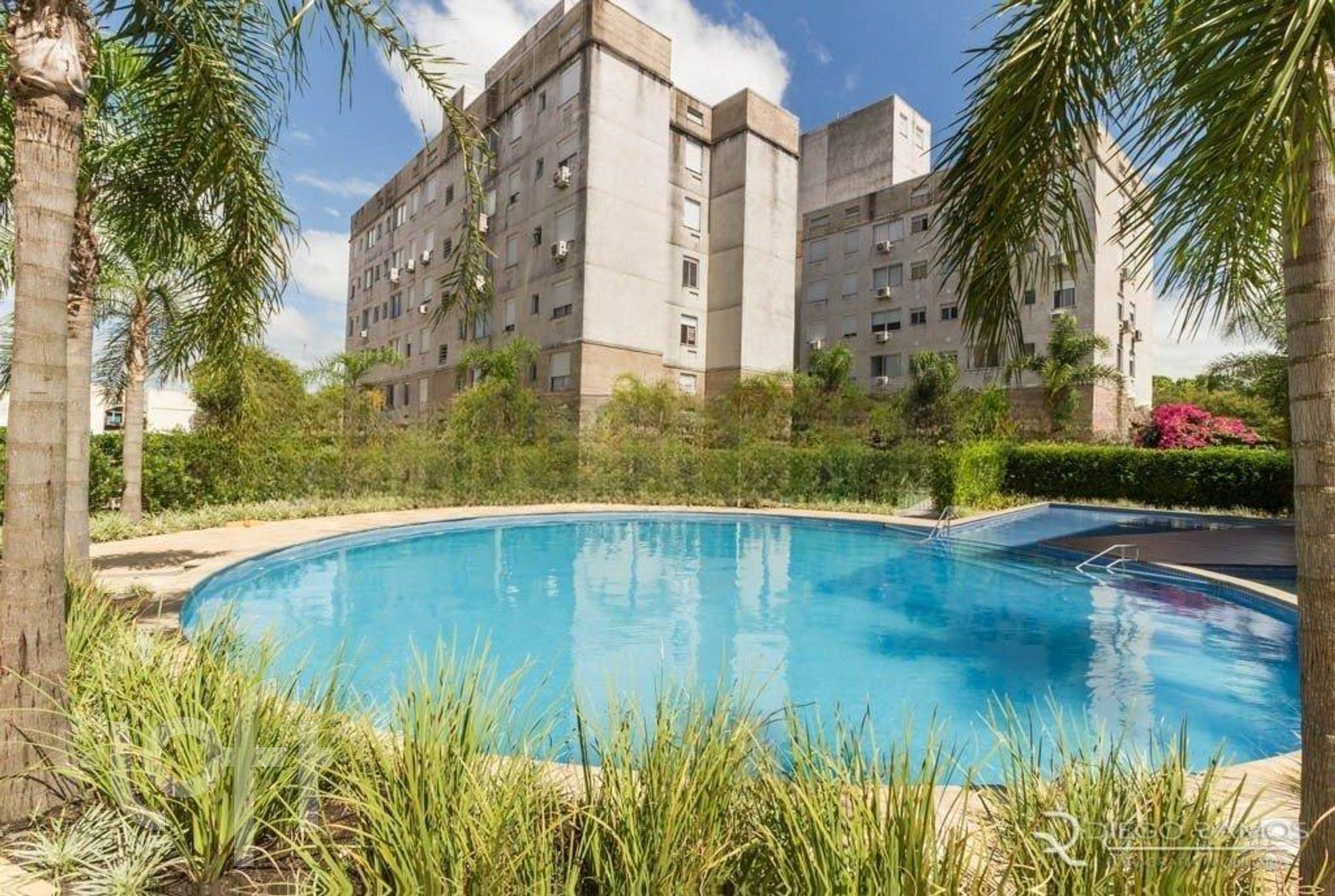 Imagem da propriedade 3