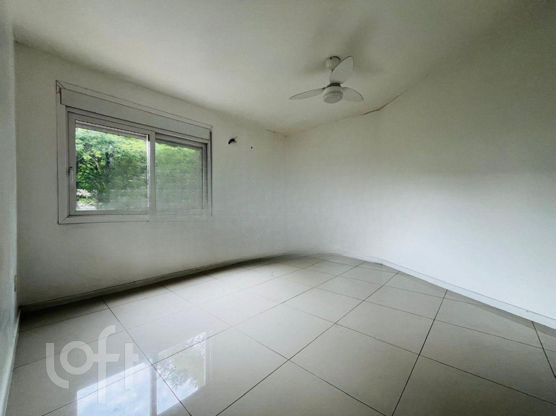 Imagem da propriedade 19