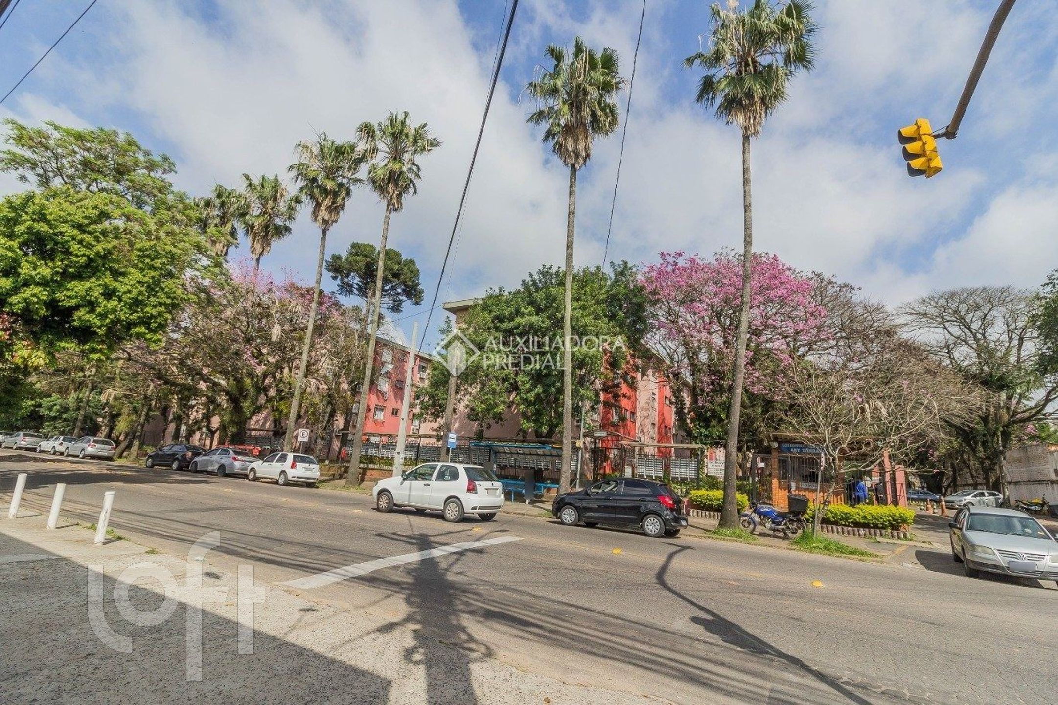 Imagem da propriedade 10