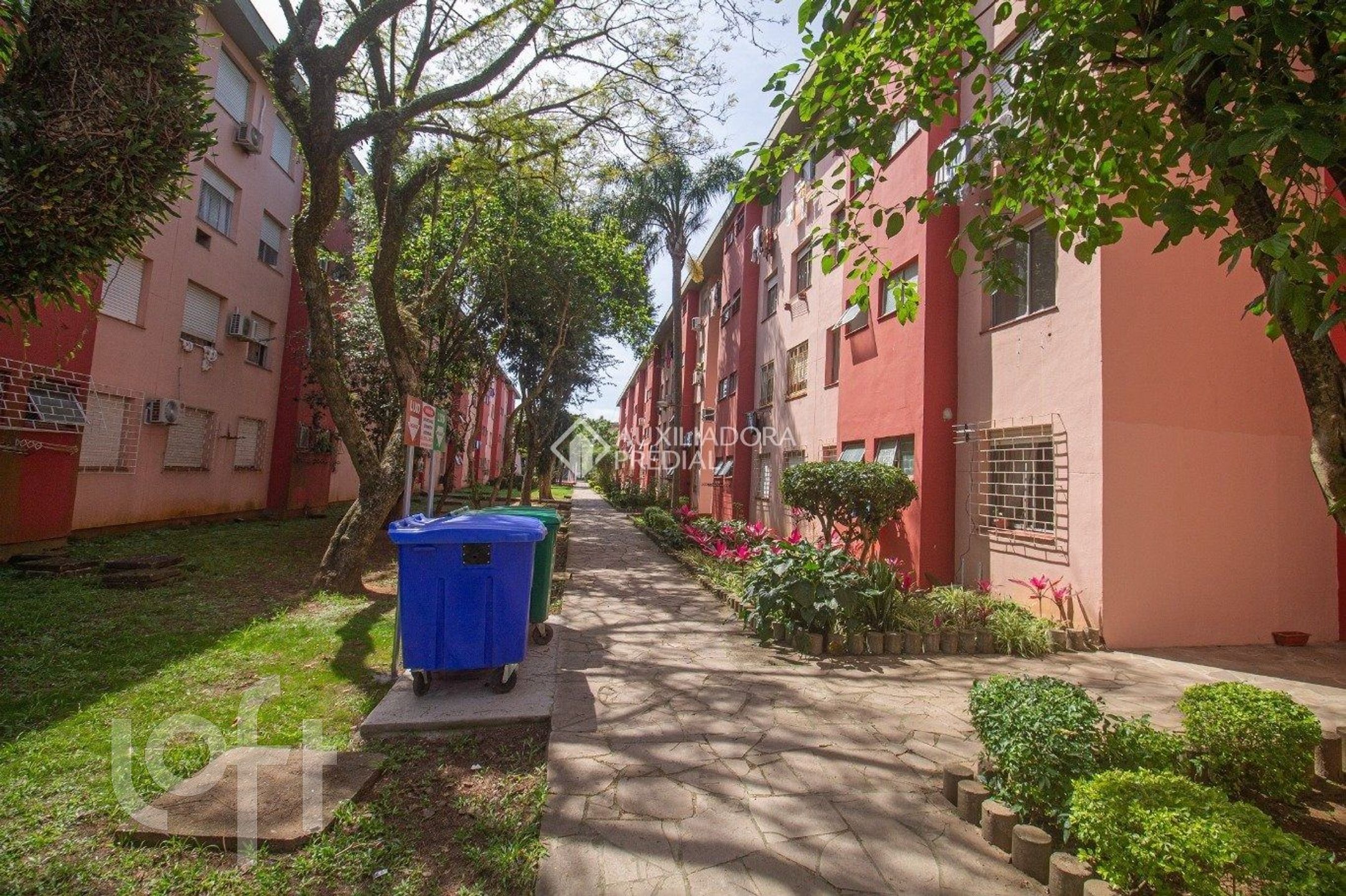 Imagem da propriedade 22