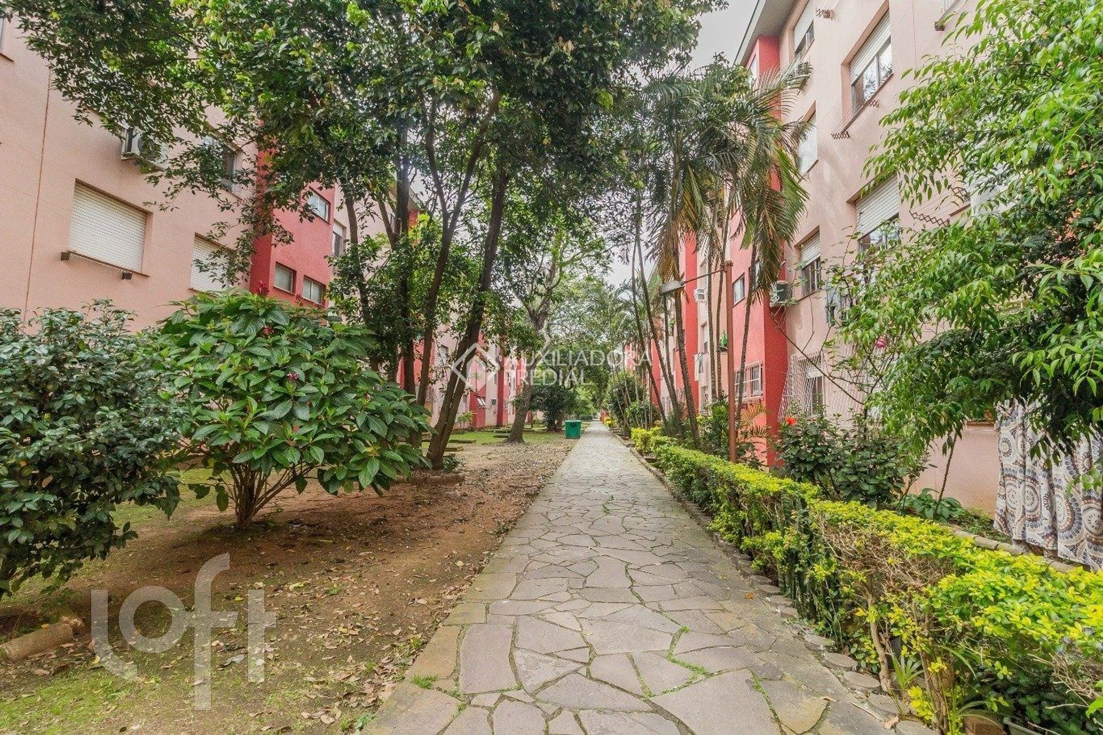 Imagem da propriedade 30