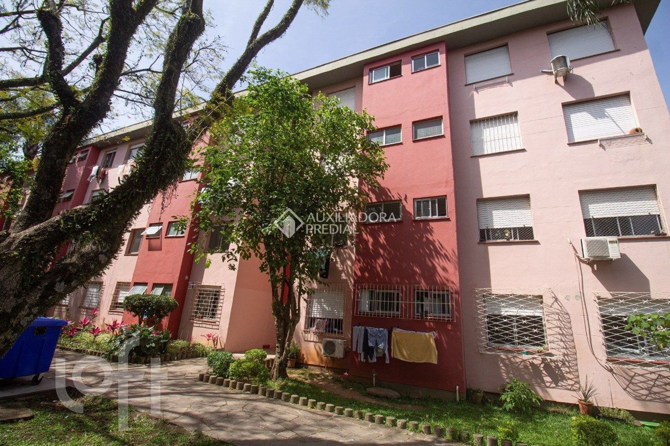 Imagem da propriedade 21