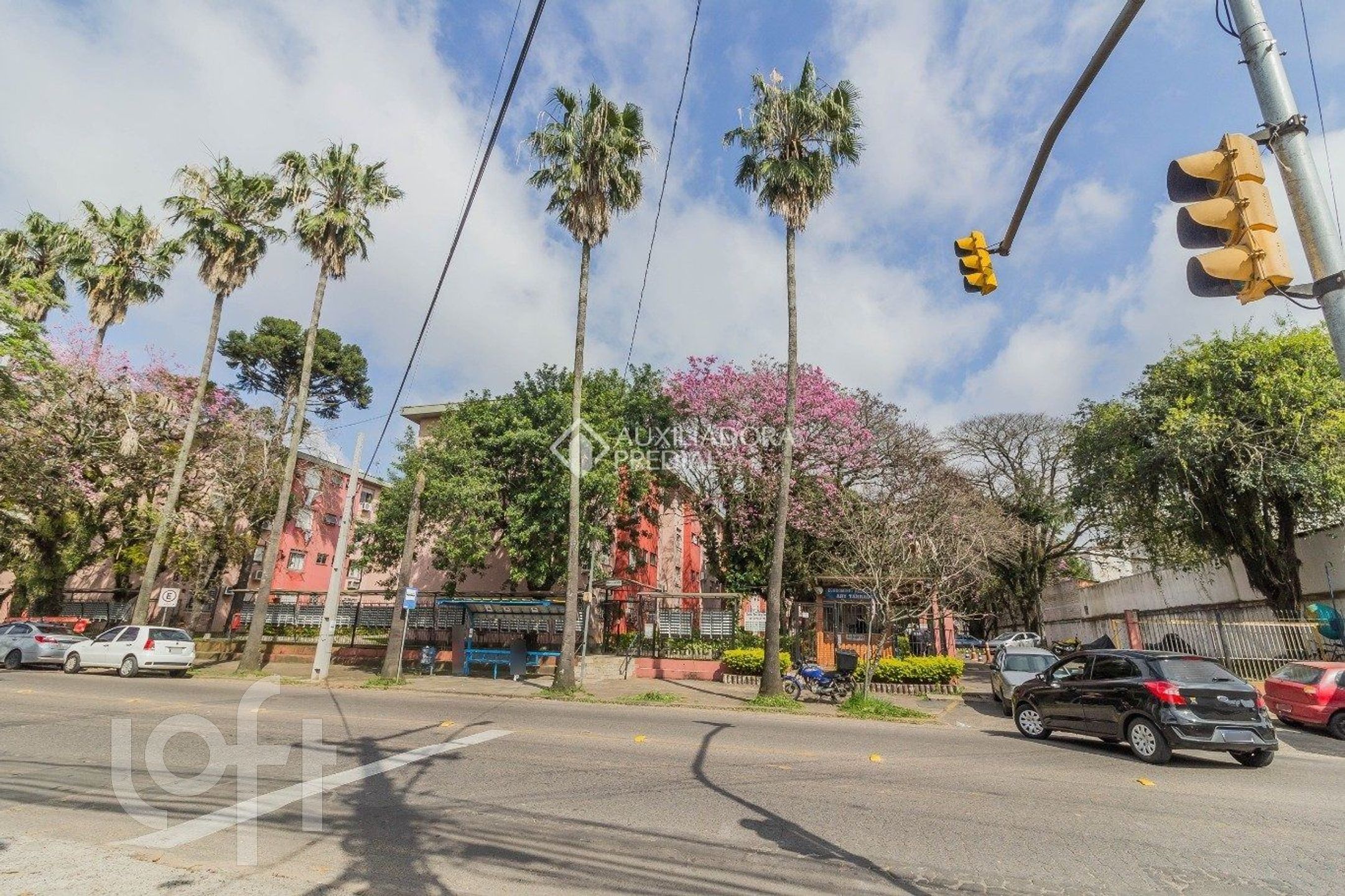 Imagem da propriedade 9