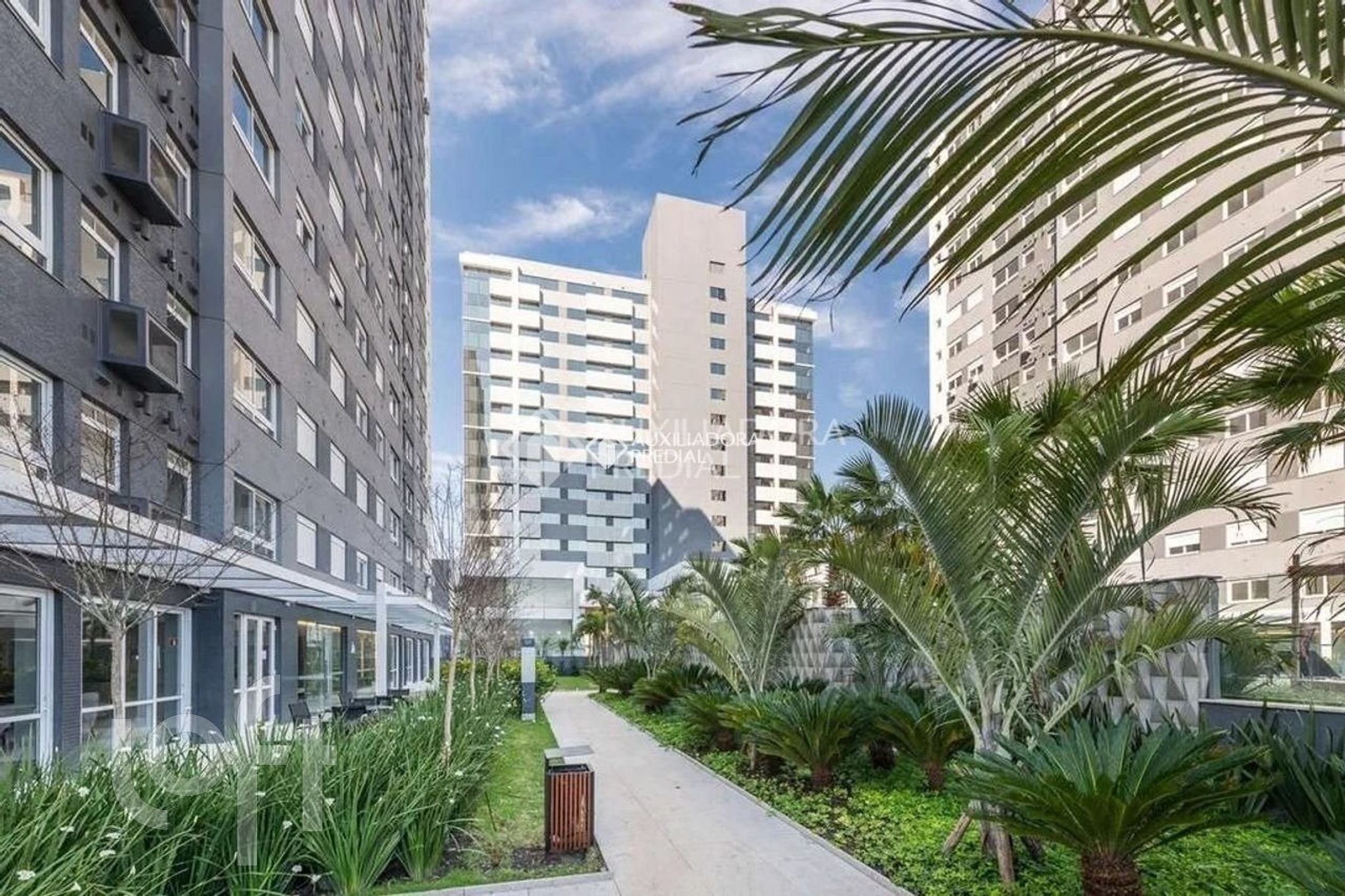 Imagem da propriedade 8