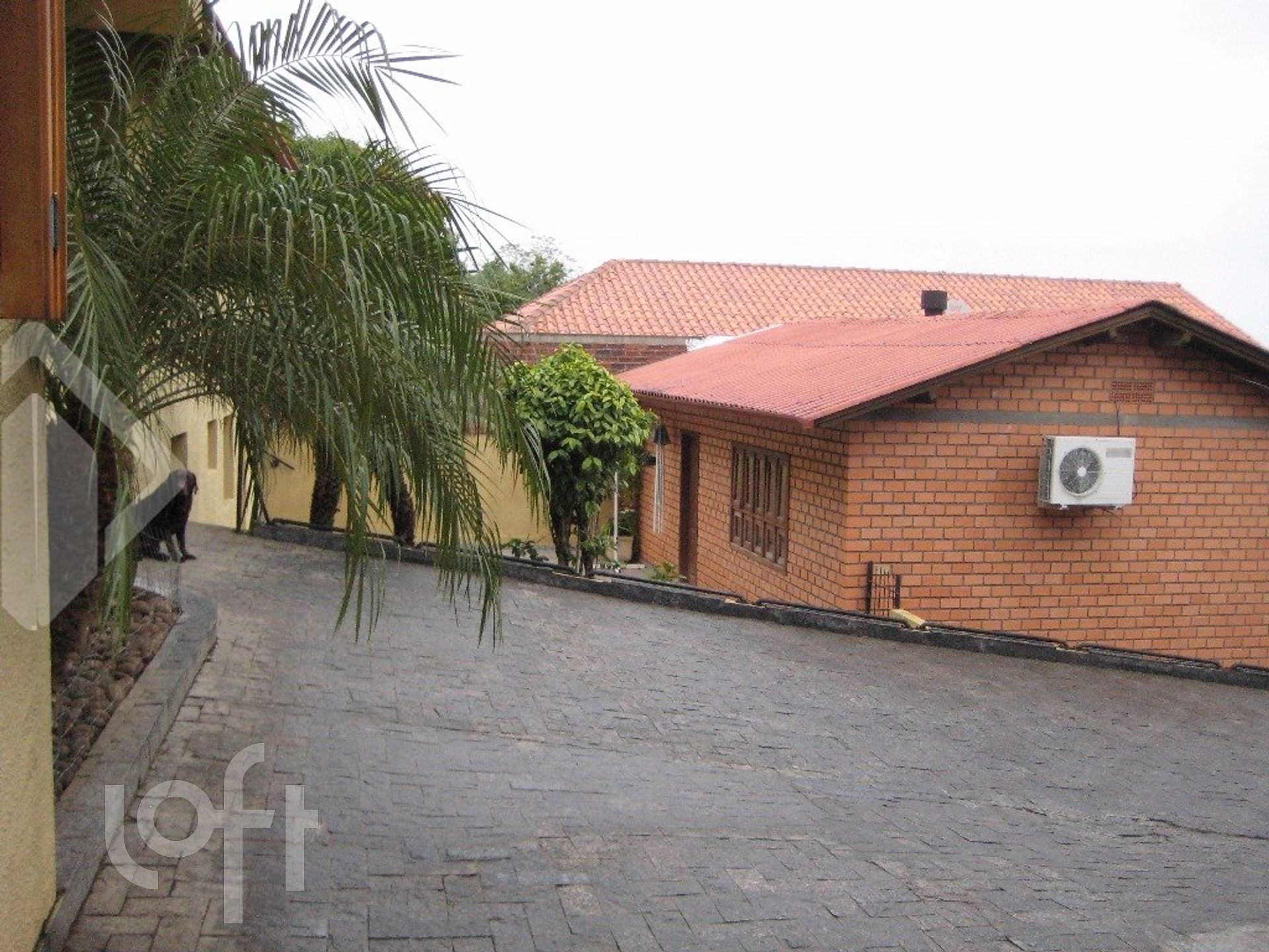 Imagem da propriedade 9