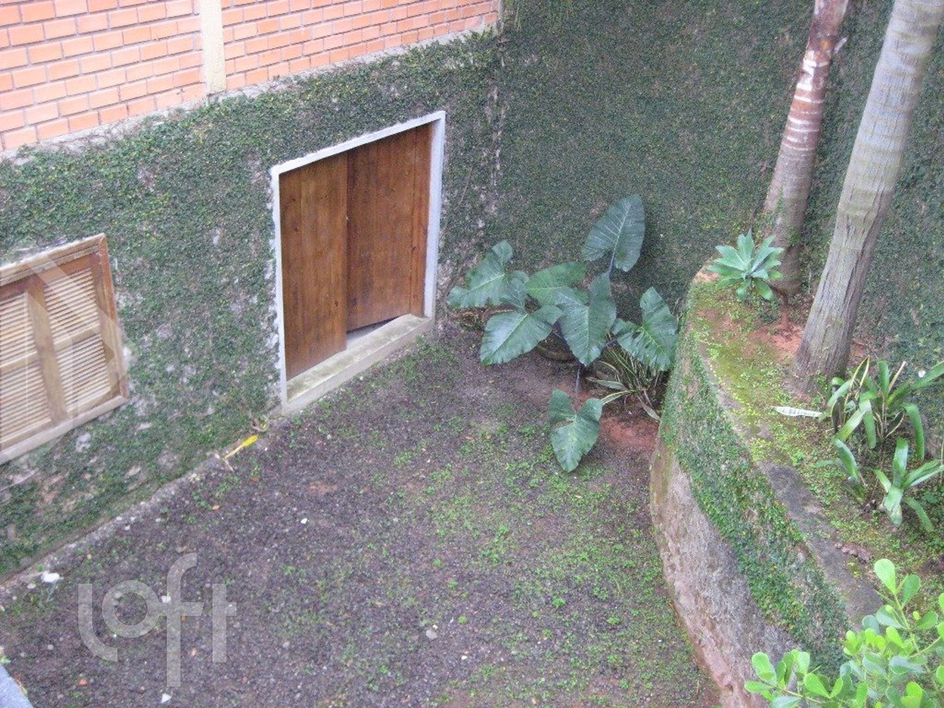 Imagem da propriedade 17