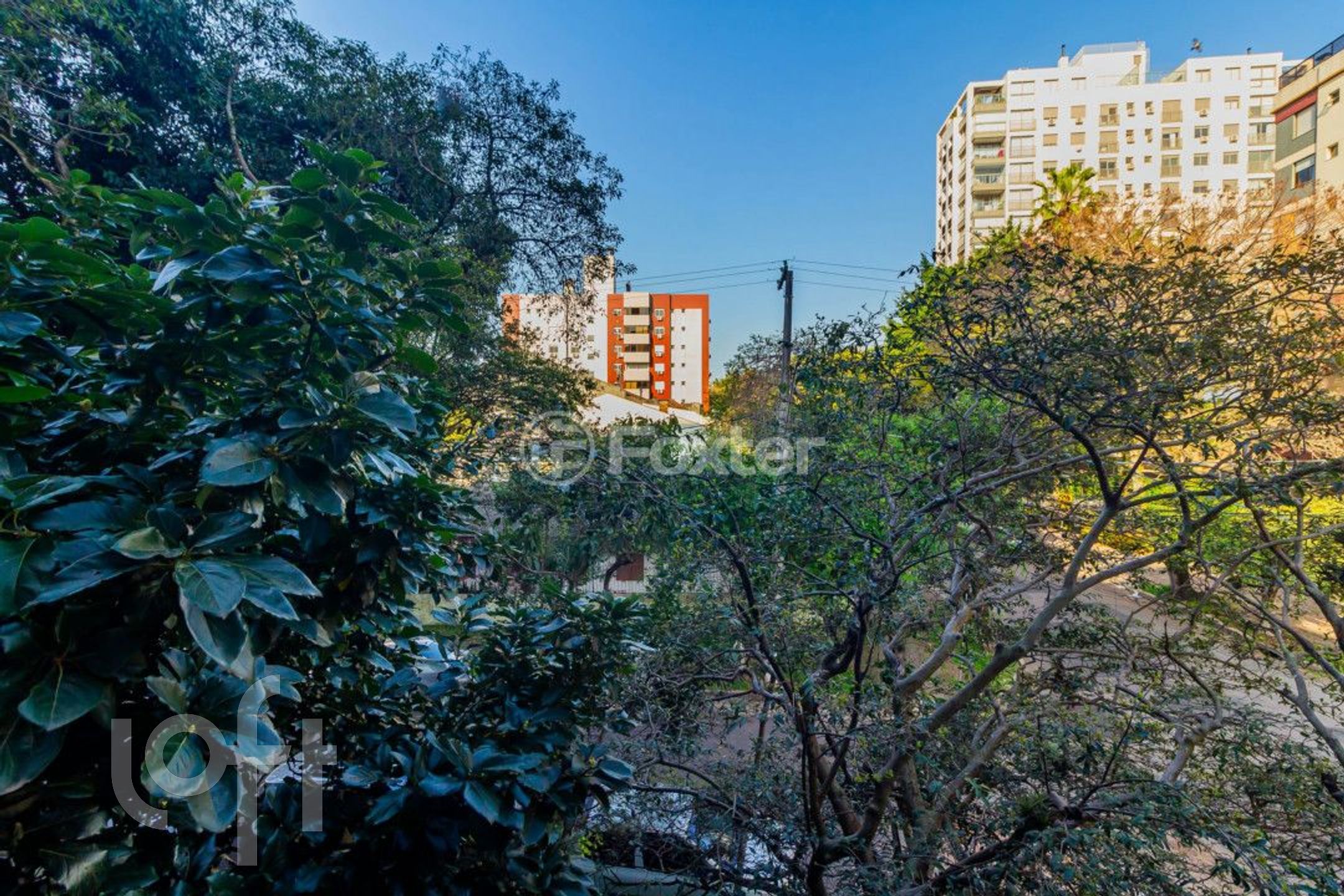 Imagem da propriedade 20