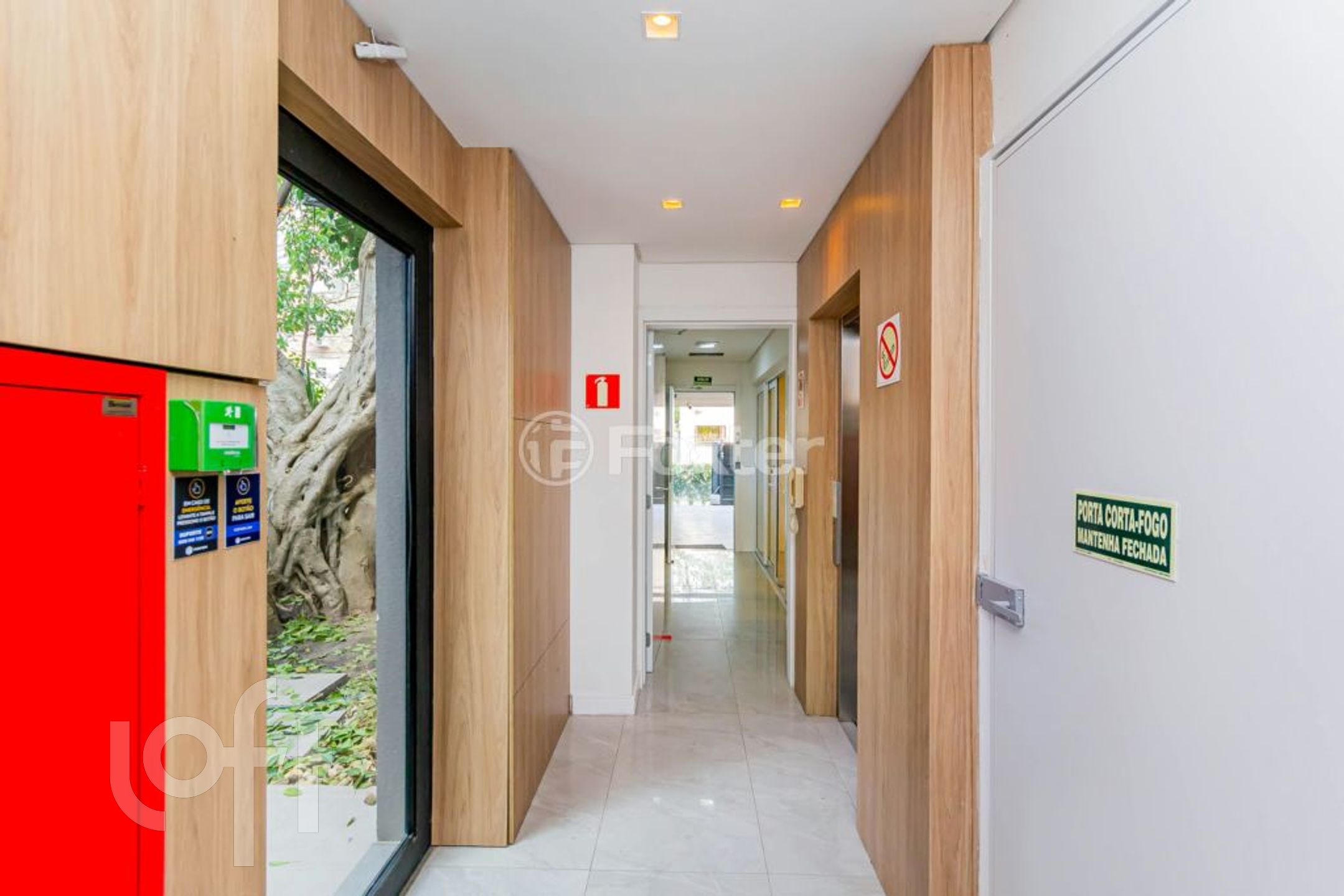 Imagem da propriedade 32