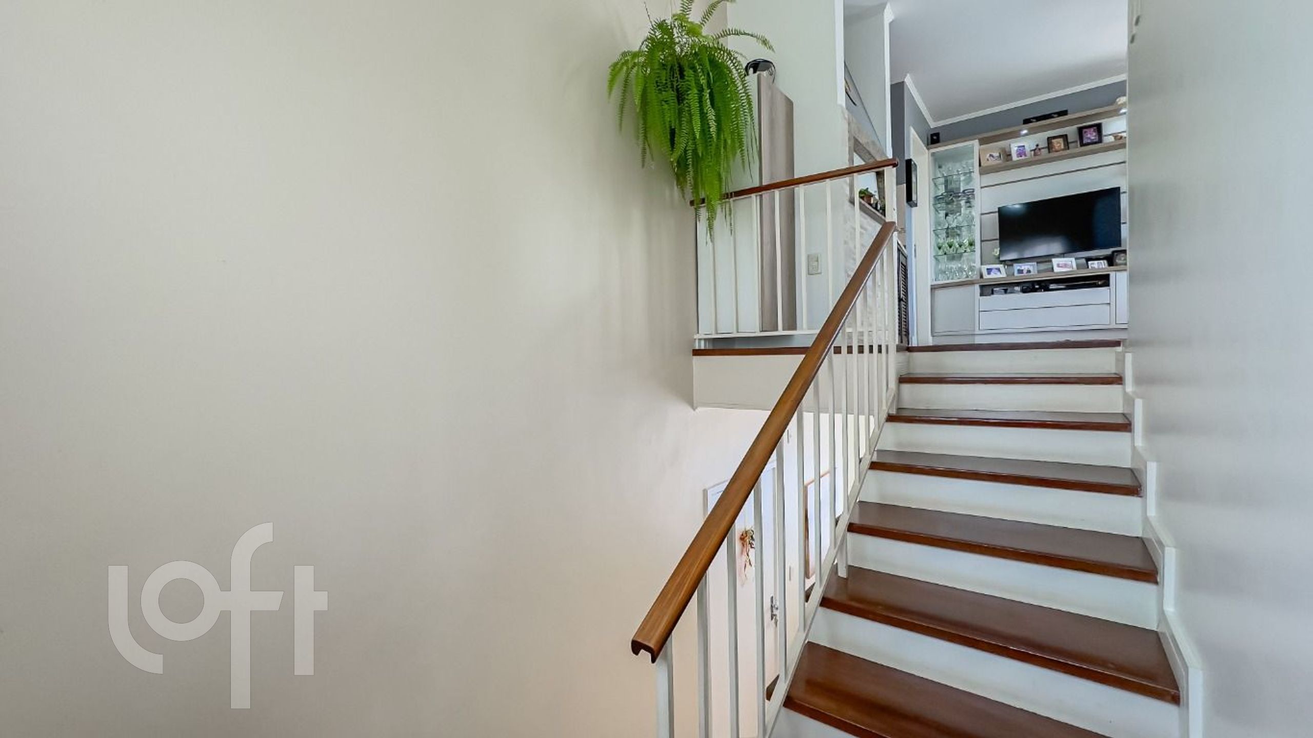 Imagem da propriedade 19