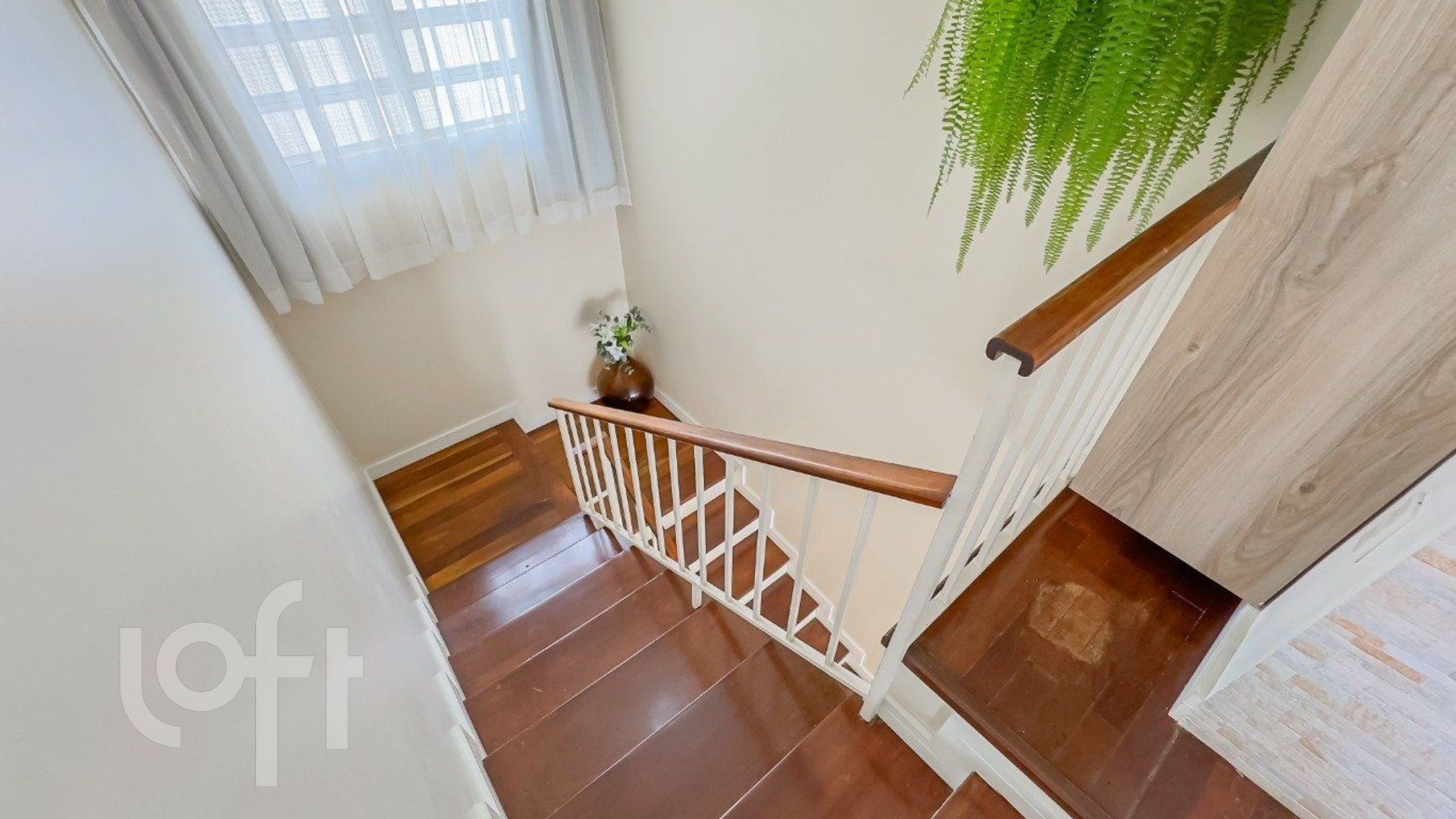 Imagem da propriedade 16