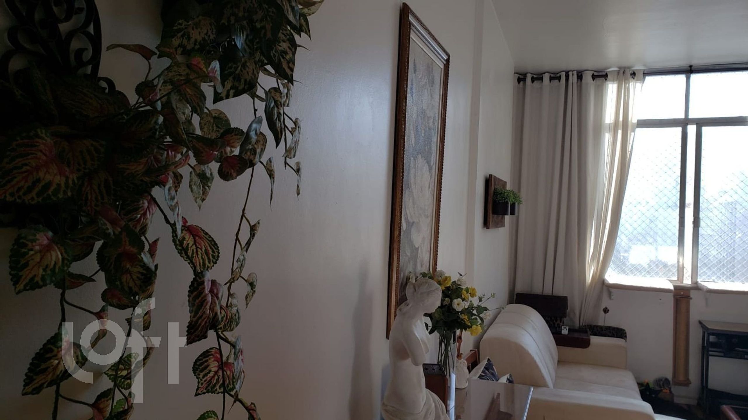 Imagem da propriedade 5