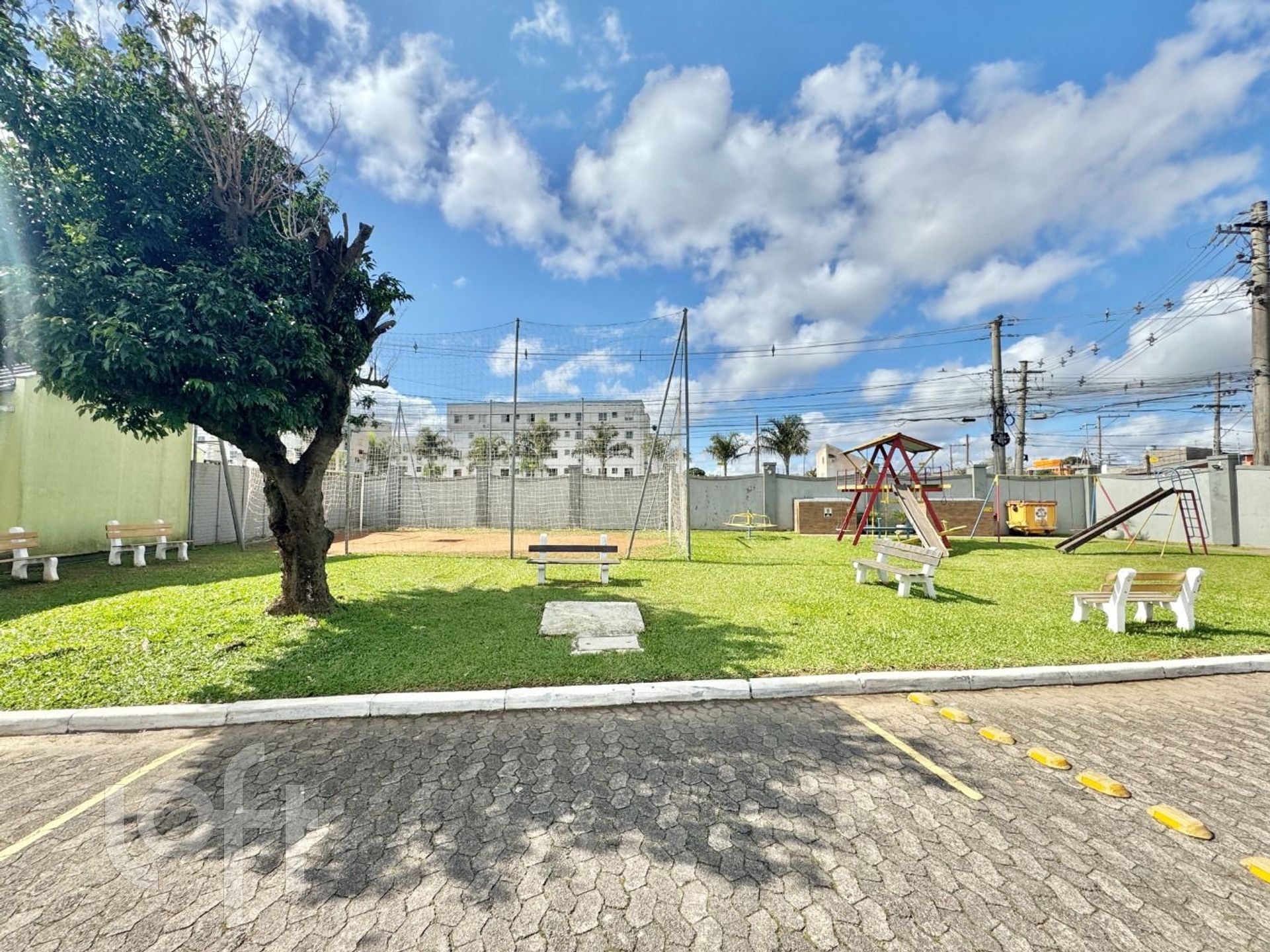 Imagem da propriedade 6