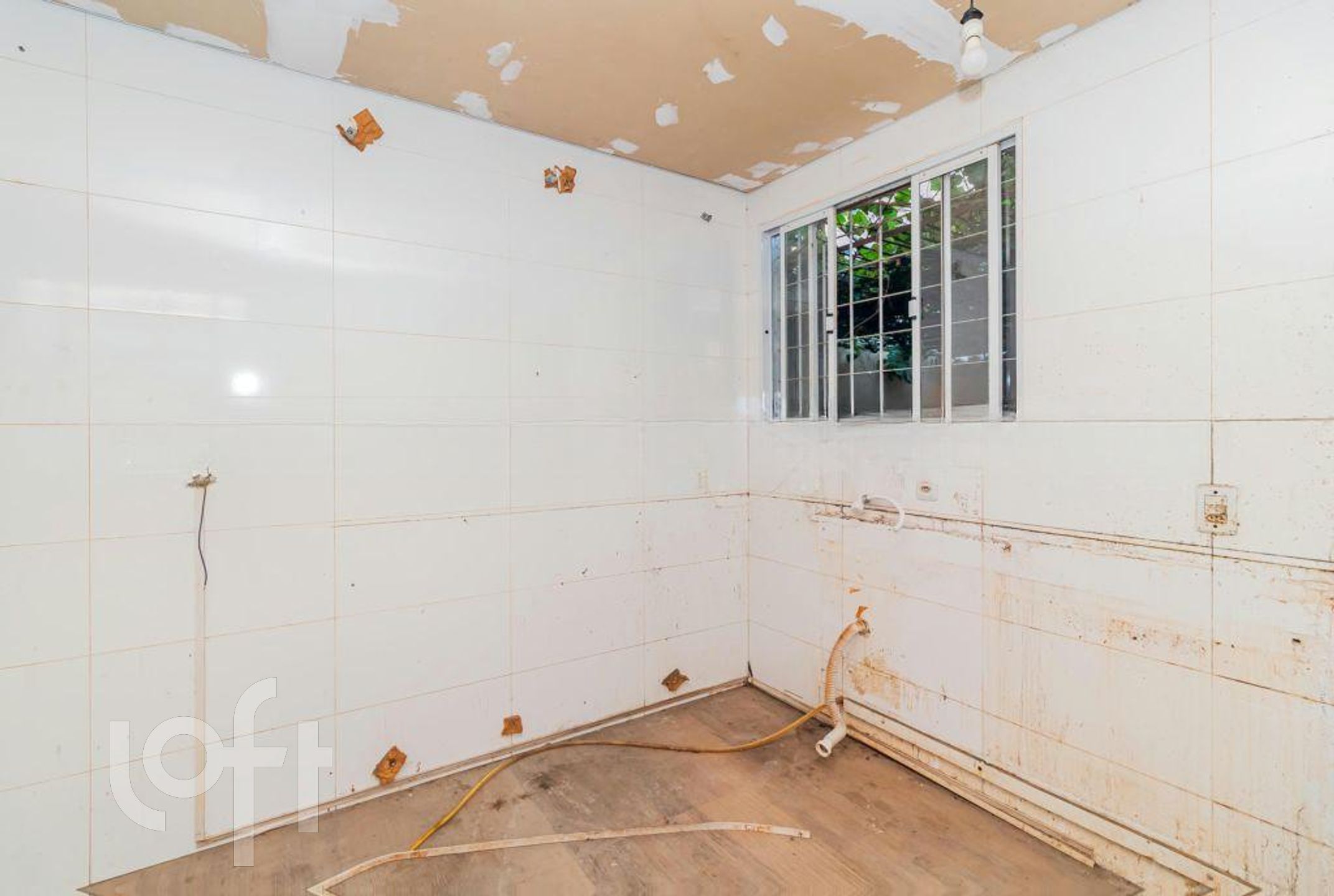 Imagem da propriedade 18