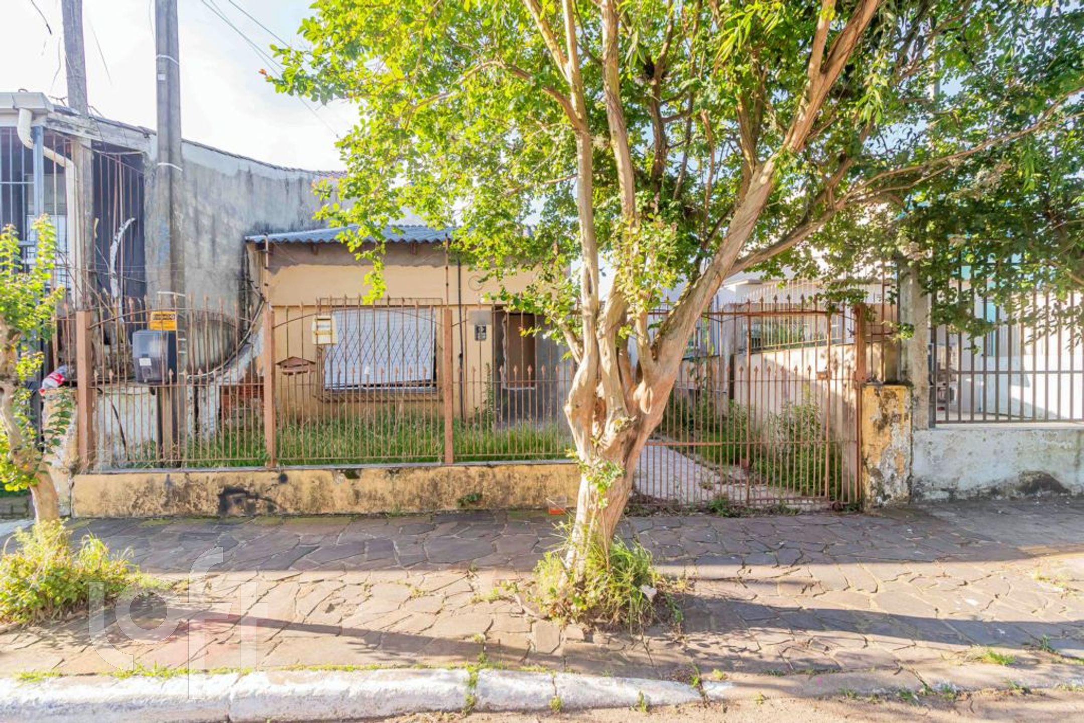 Imagem da propriedade 32