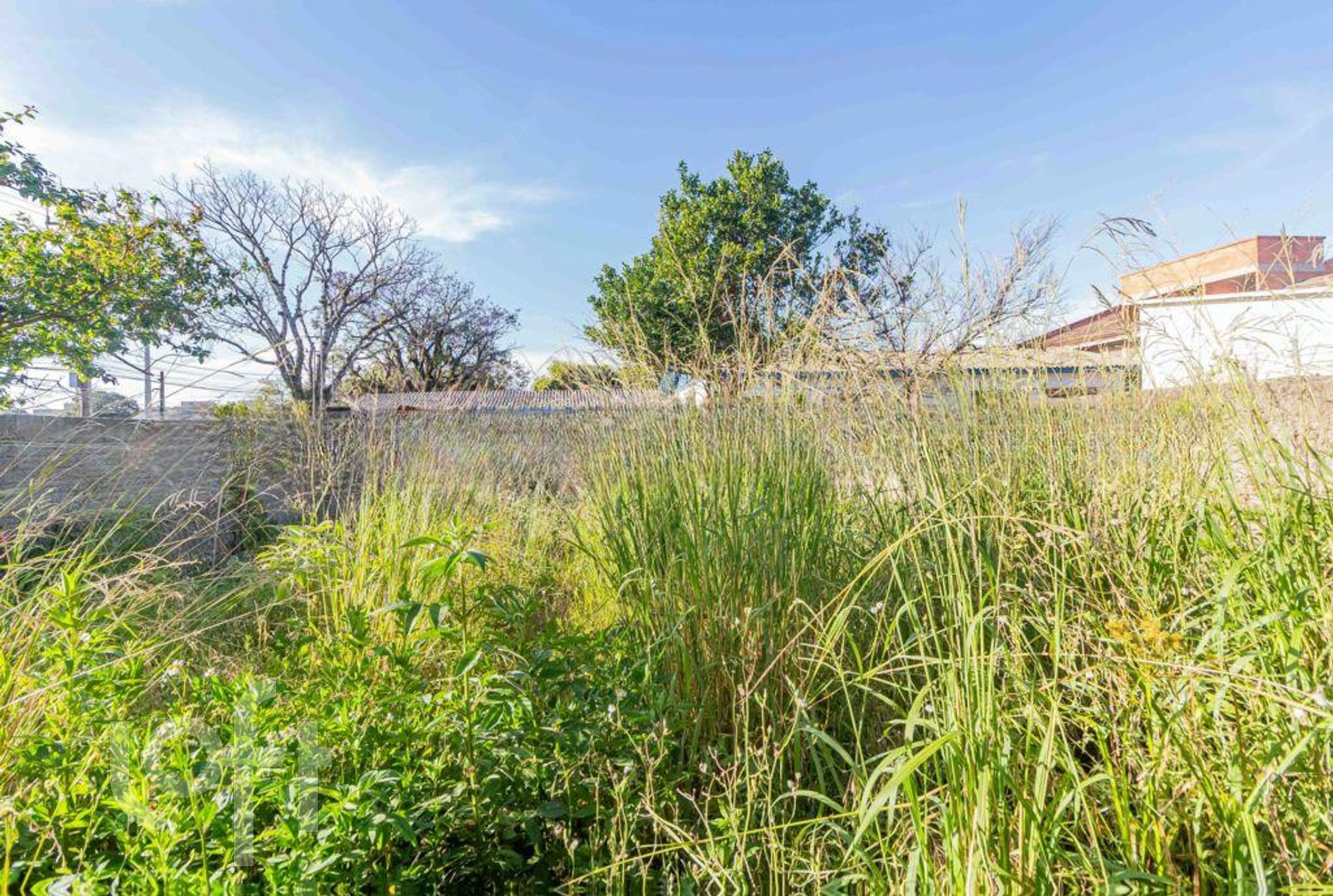 Imagem da propriedade 29