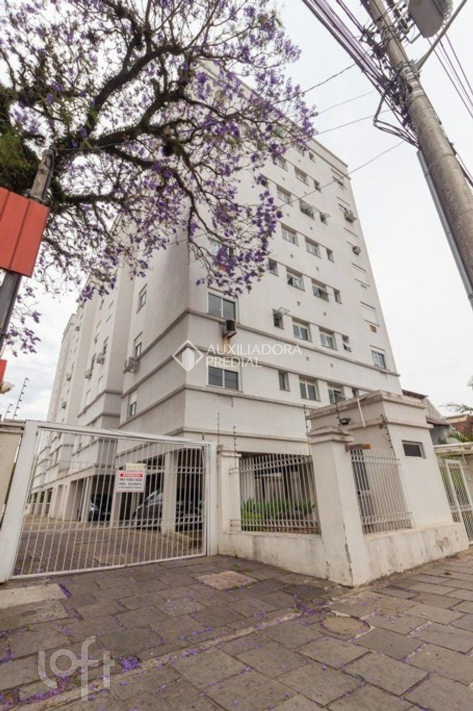 Imagem da propriedade 15