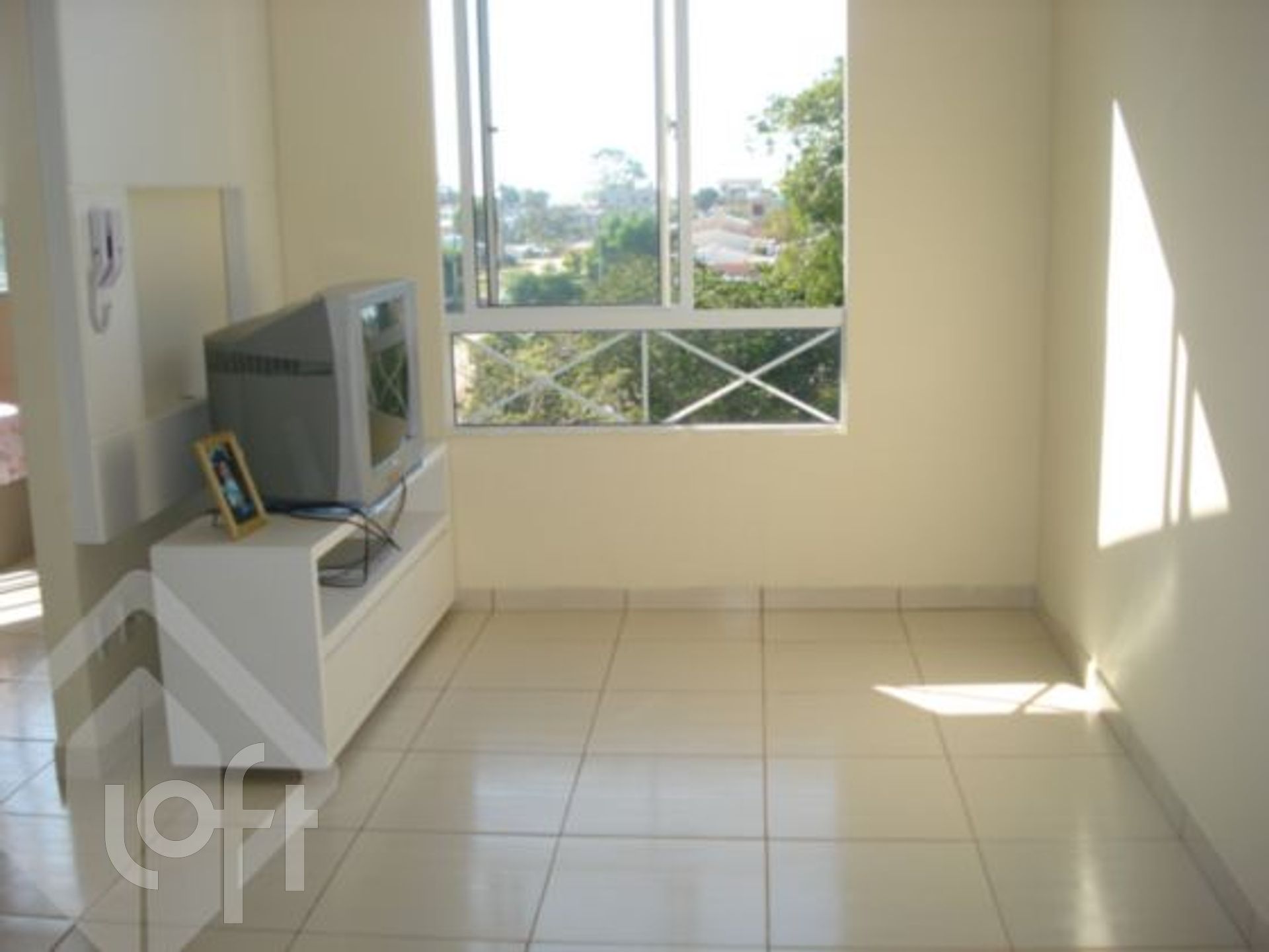 Imagem da propriedade 3