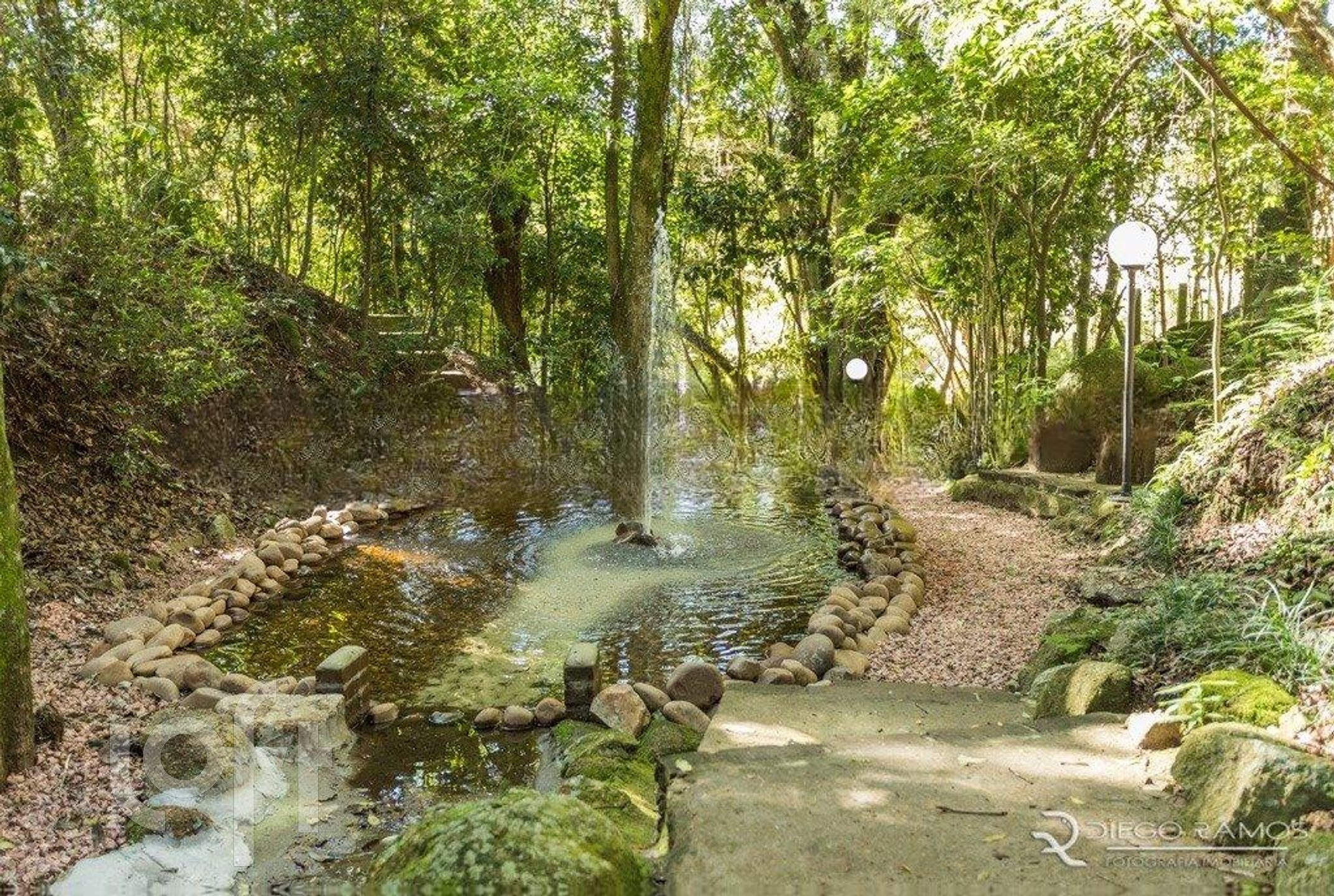 Imagem da propriedade 82