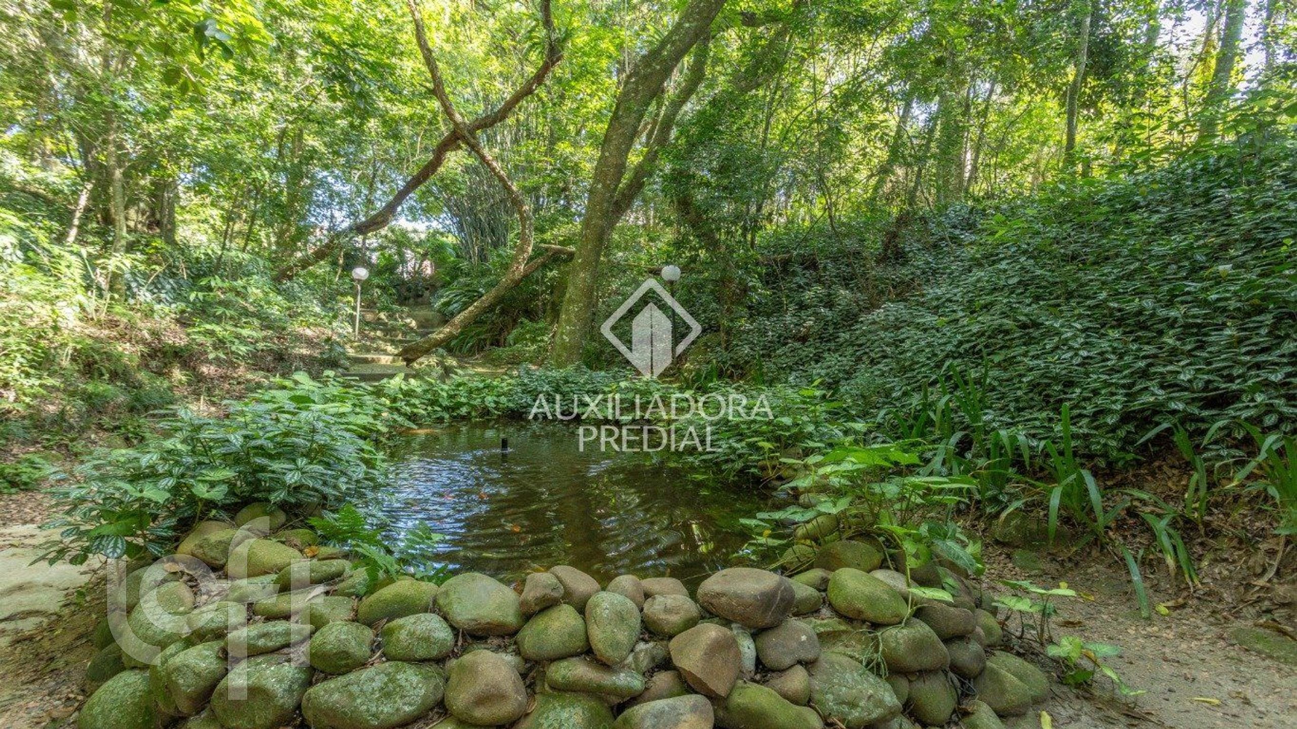 Imagem da propriedade 96