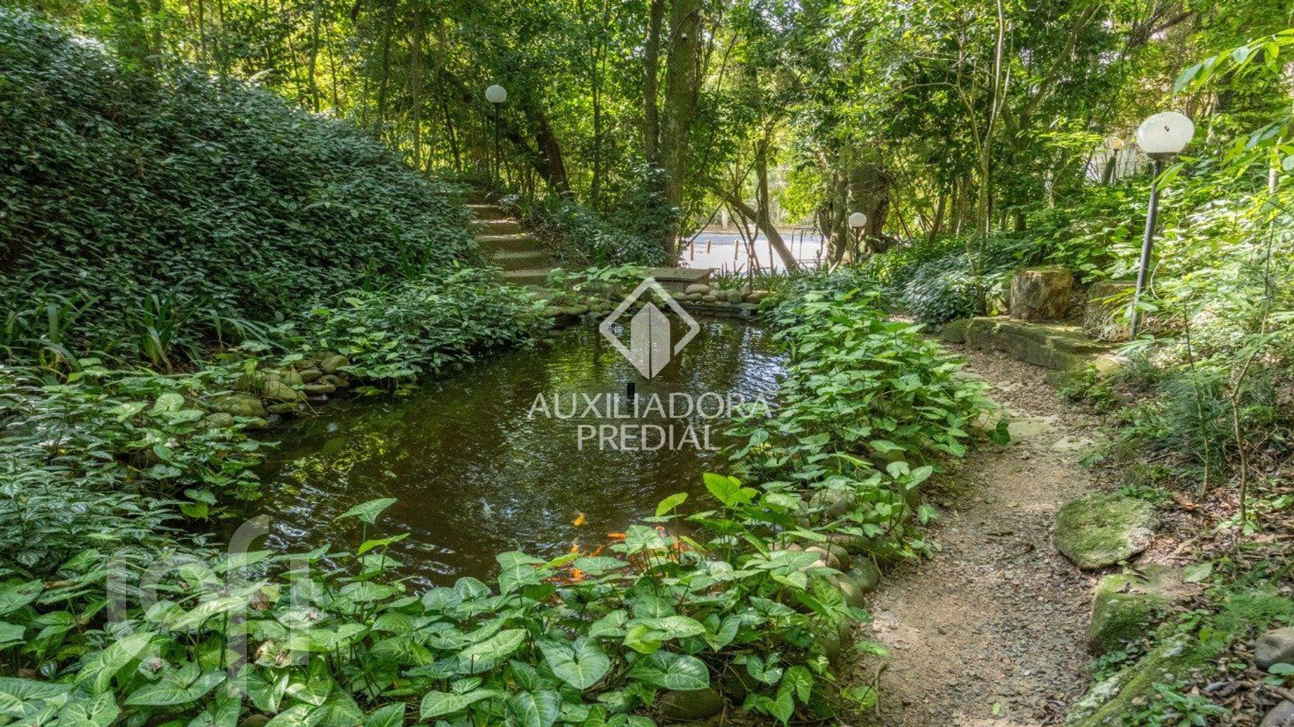 Imagem da propriedade 93