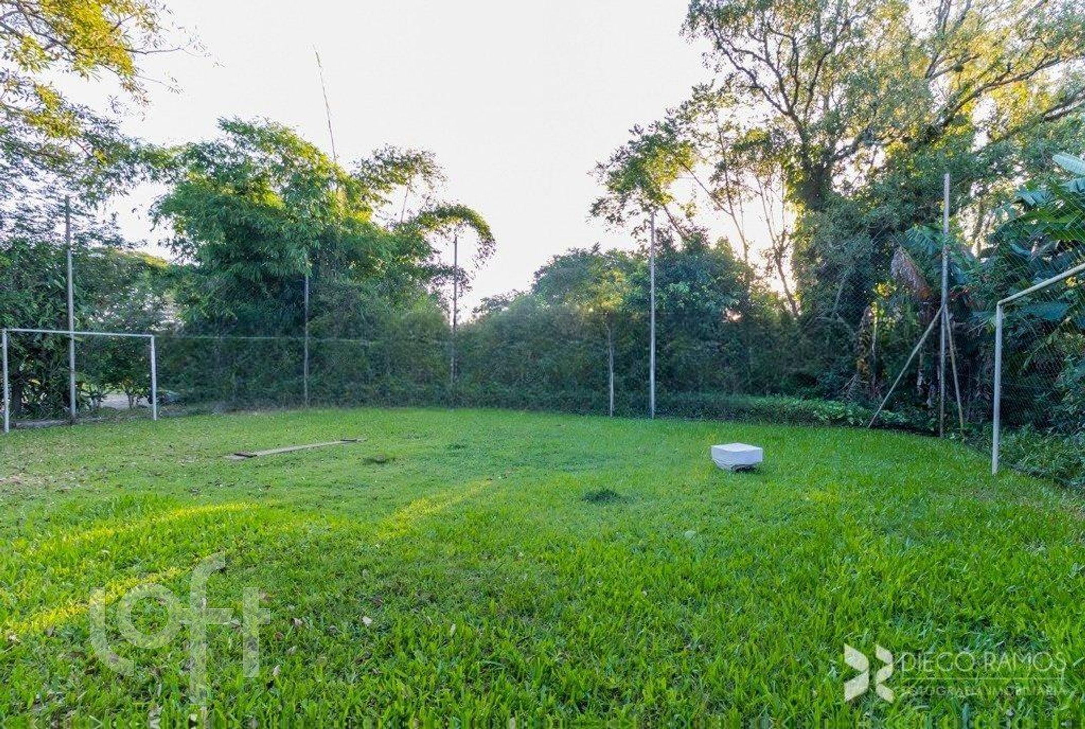 Imagem da propriedade 9