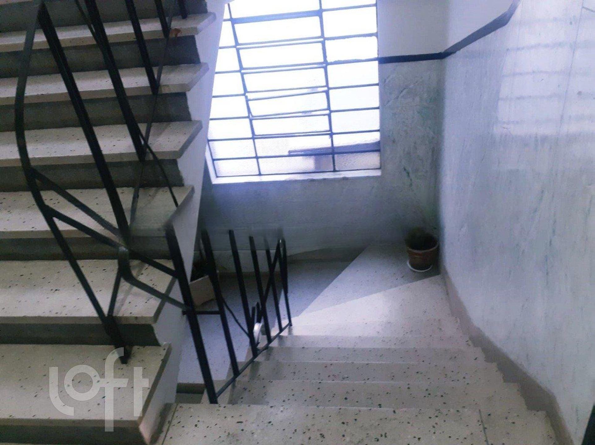Imagem da propriedade 4