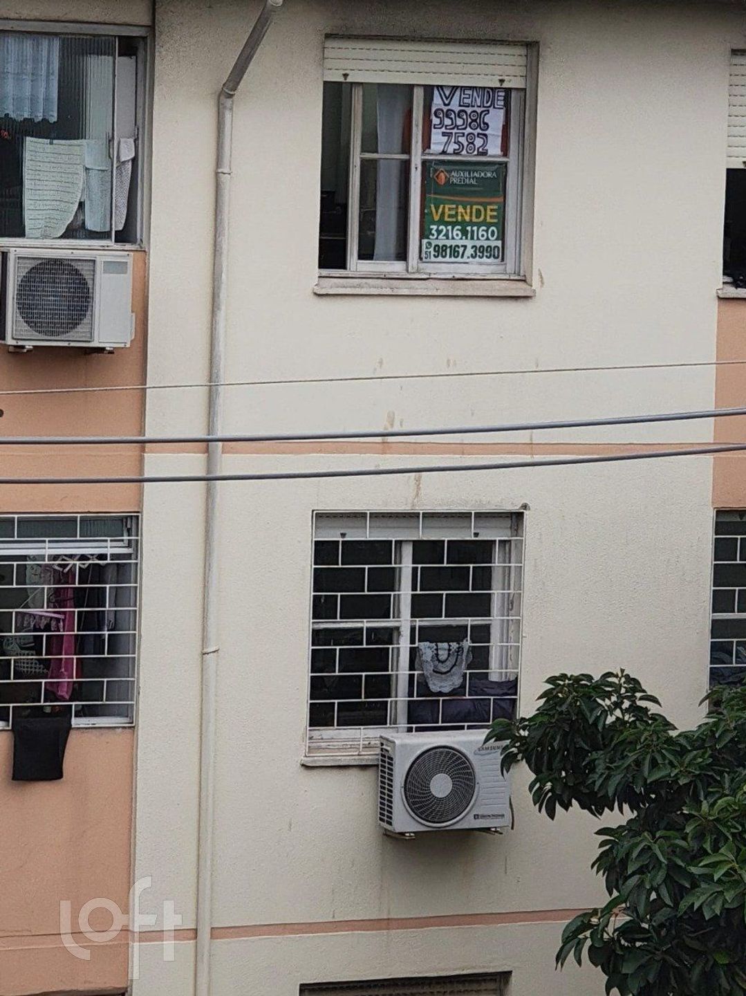 Imagem da propriedade 25