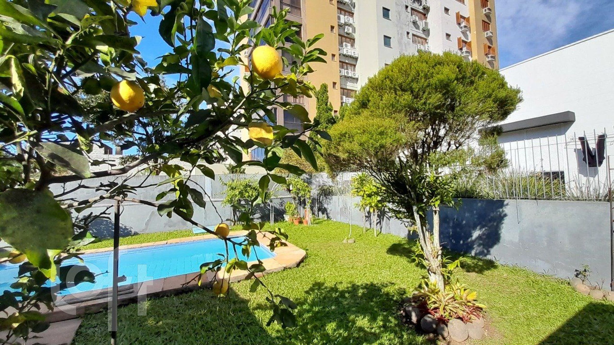 Imagem da propriedade 30