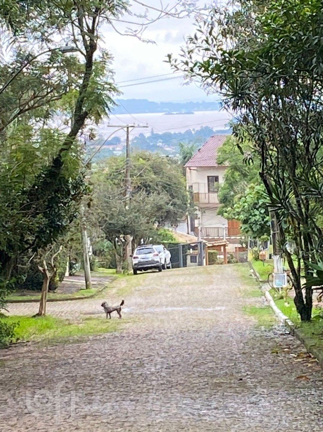 Imagem da propriedade 46