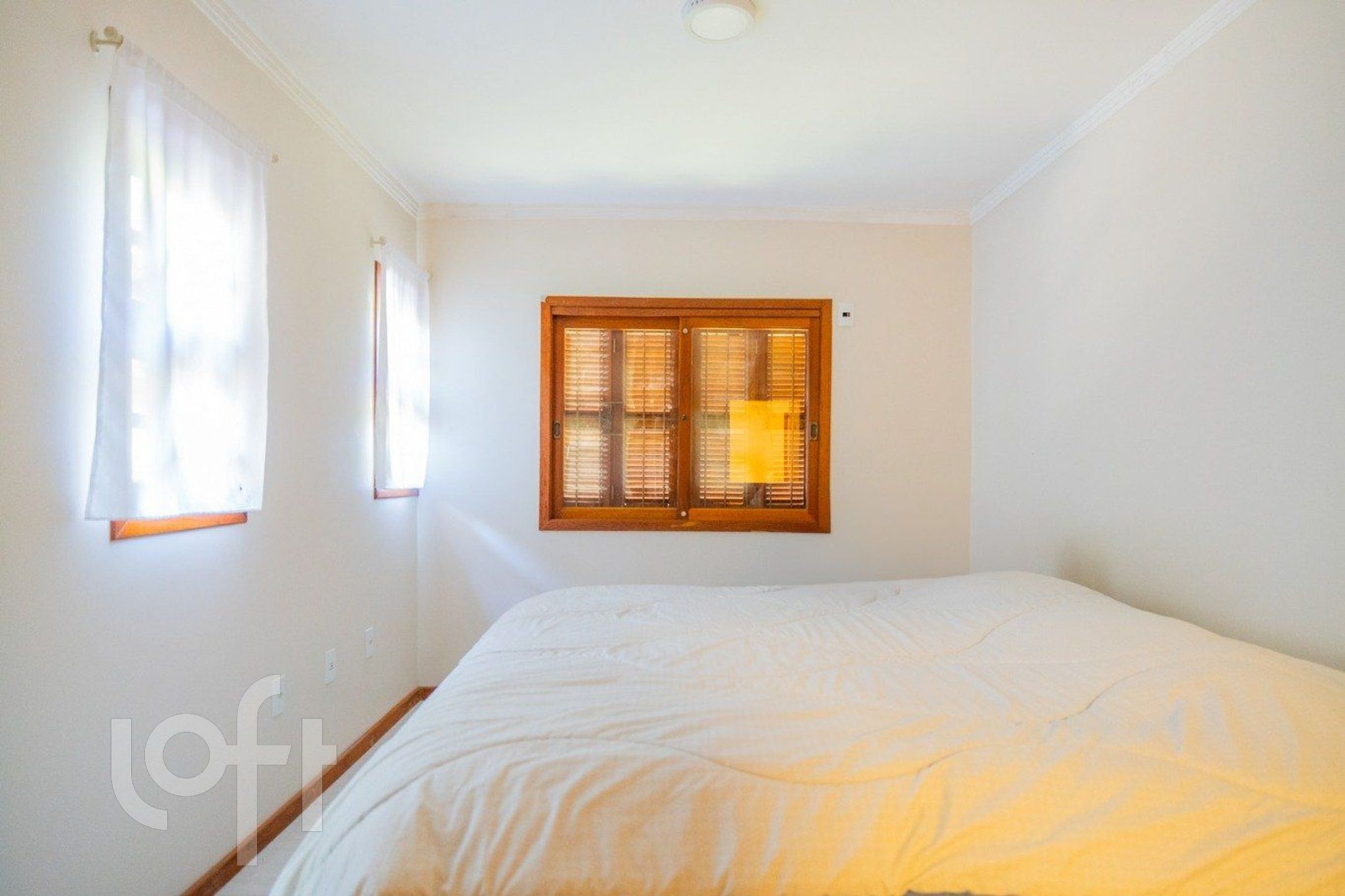 Imagem da propriedade 19