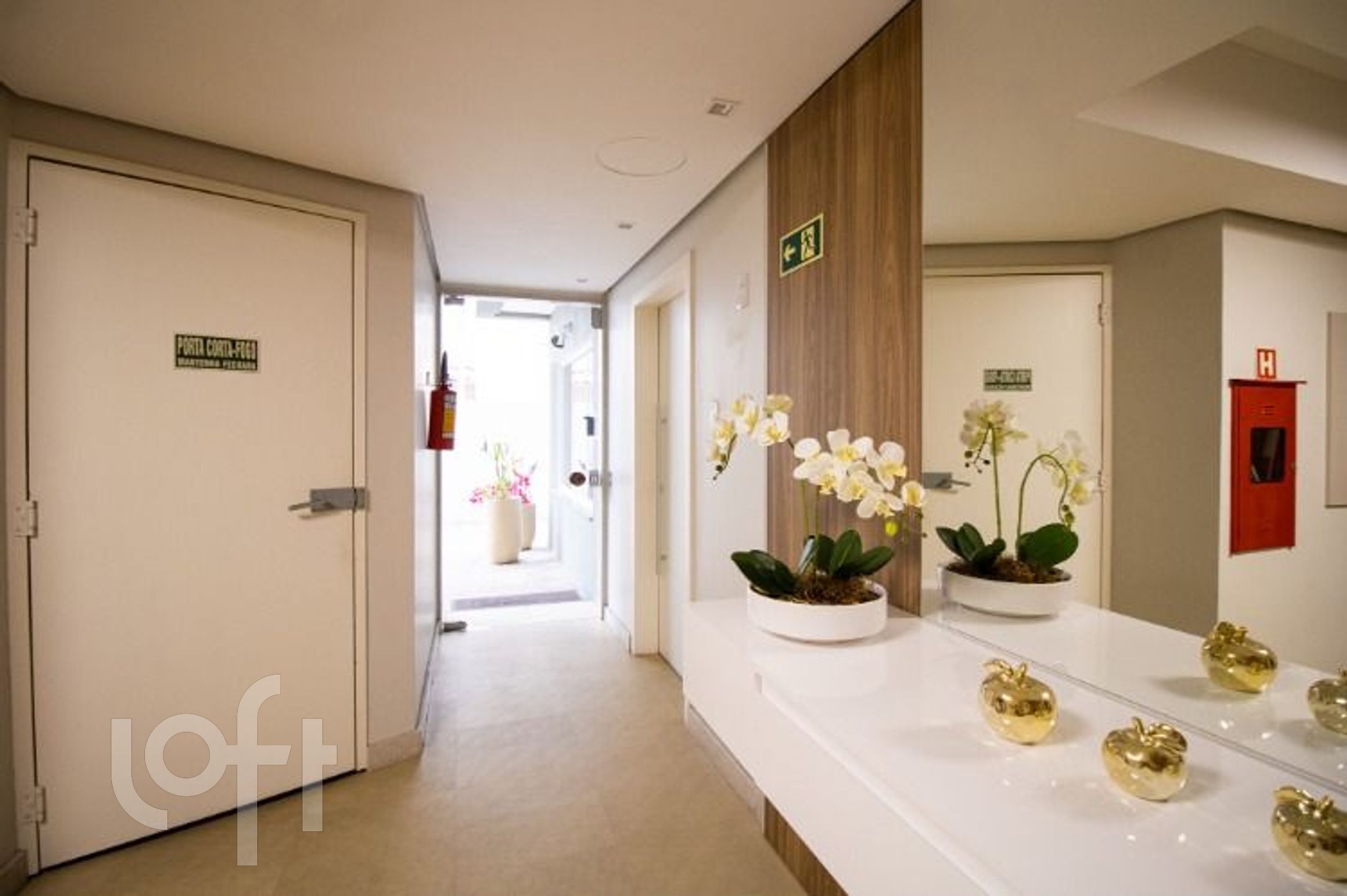 Imagem da propriedade 21