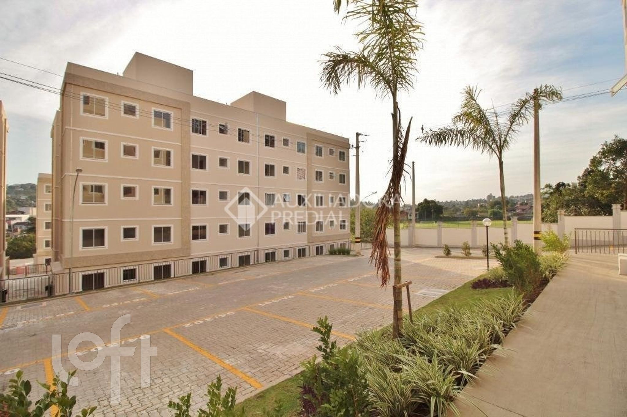 Imagem da propriedade 7