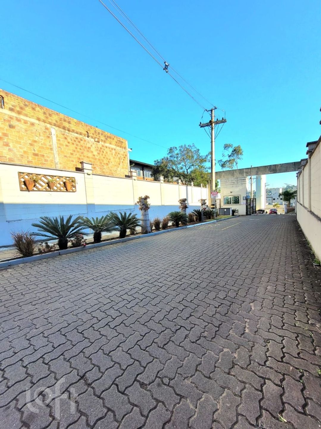 Imagem da propriedade 25