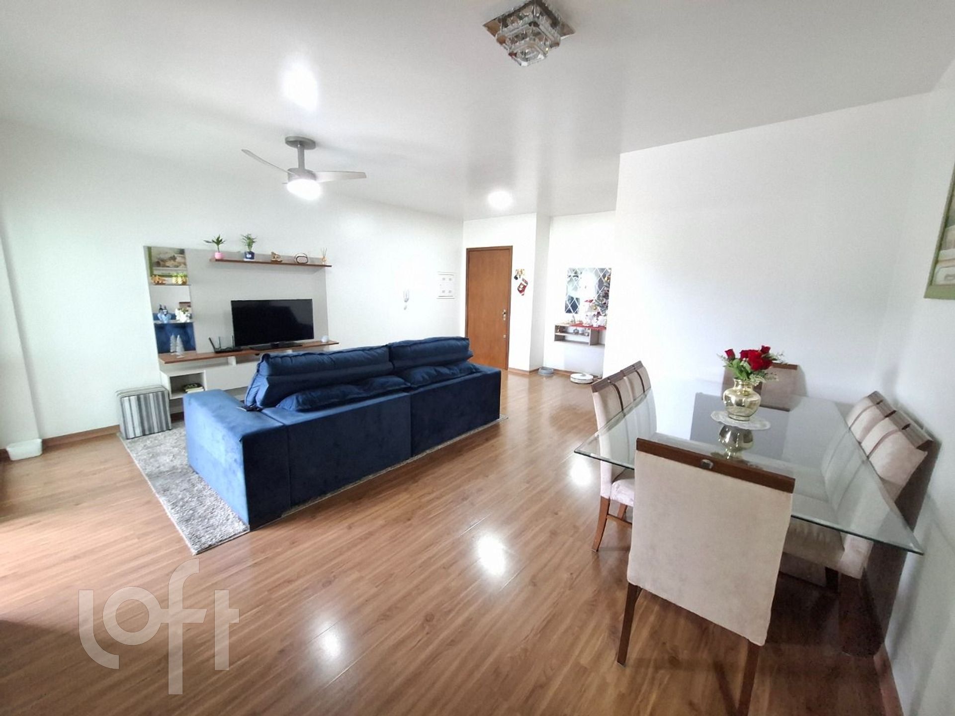 Imagem da propriedade 12