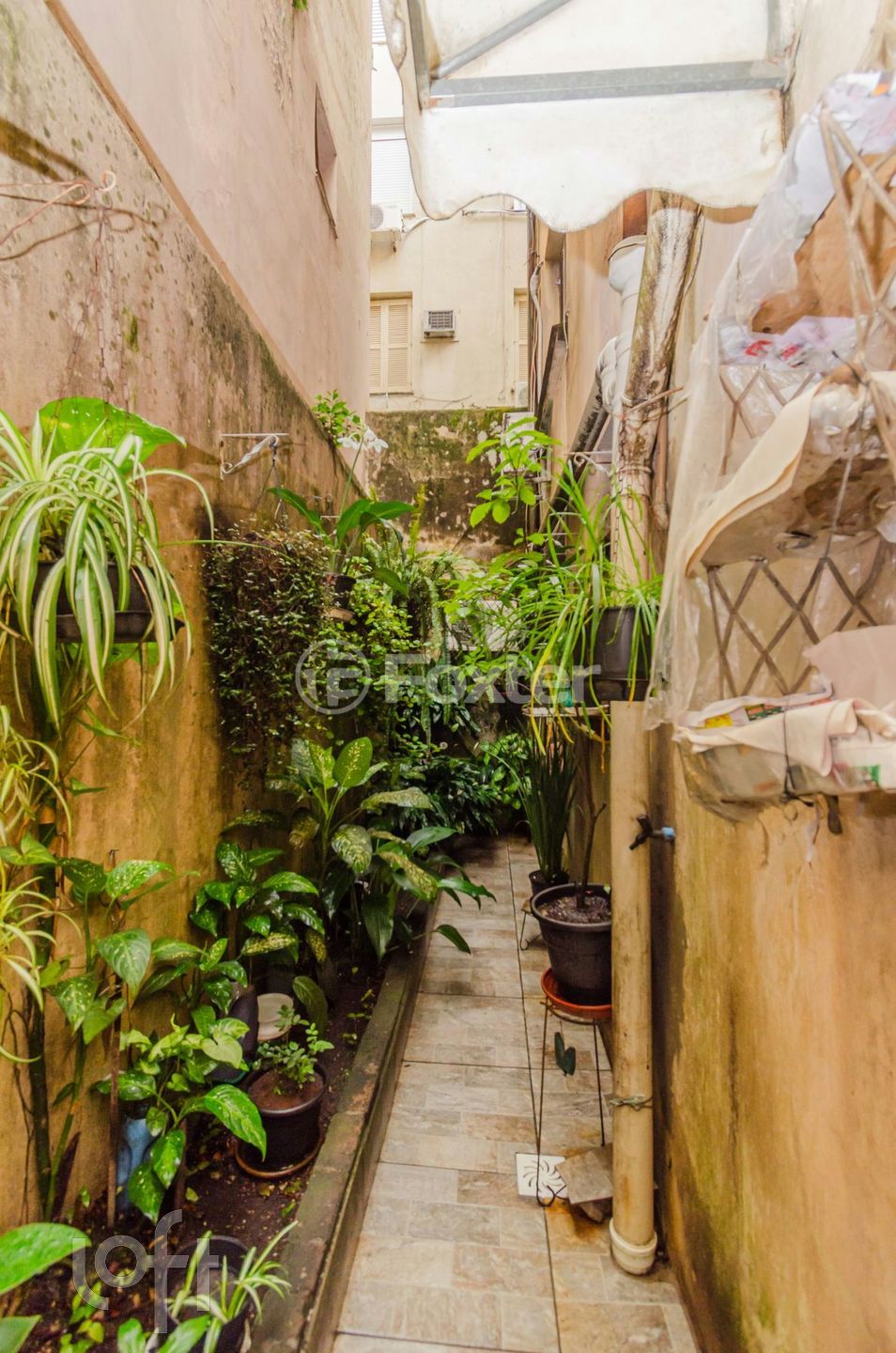 Imagem da propriedade 16