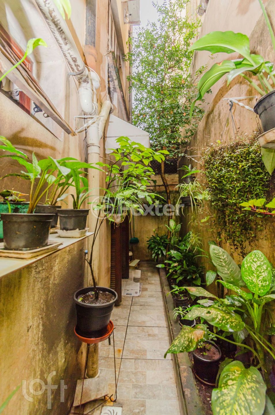 Imagem da propriedade 17