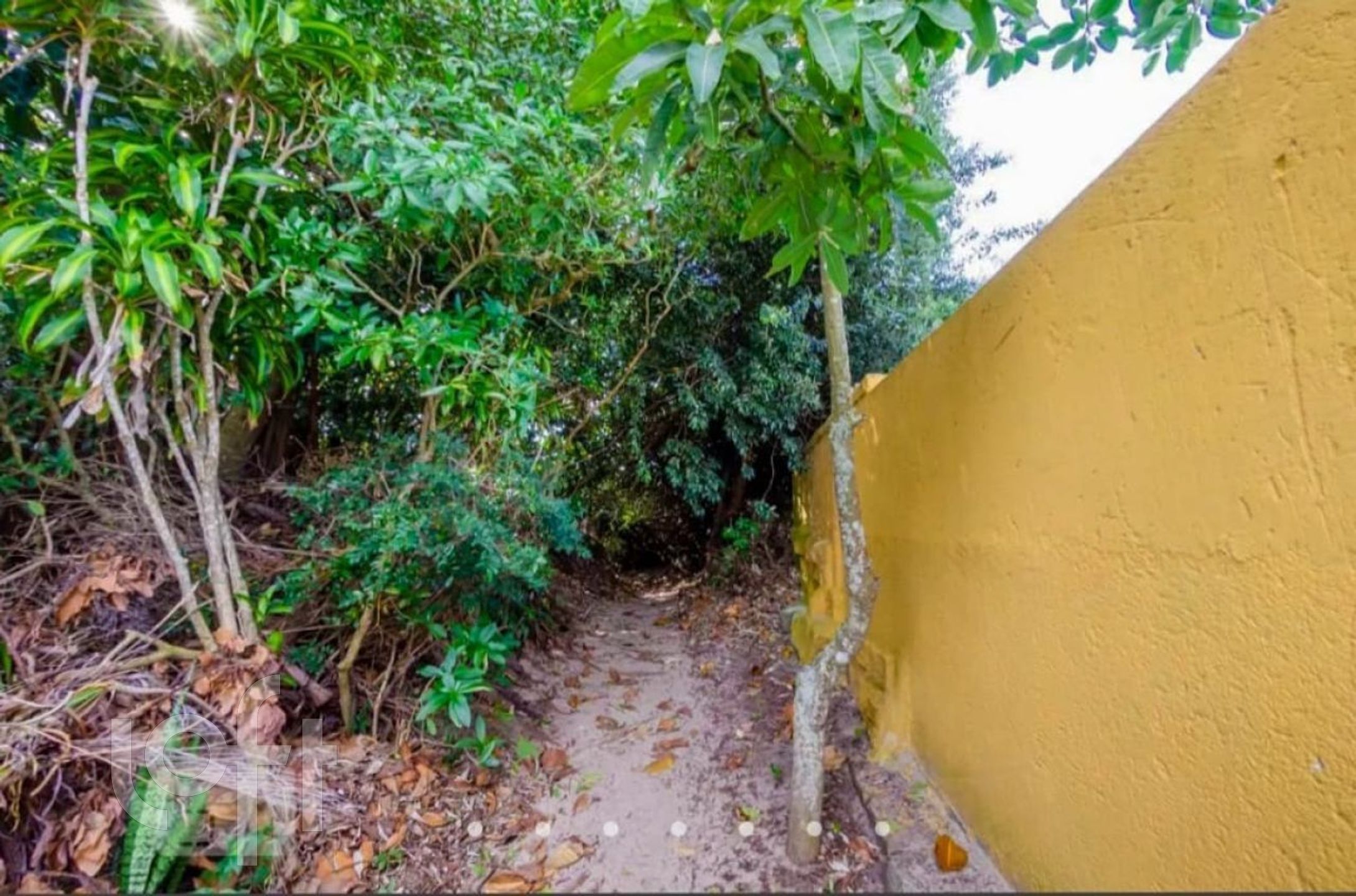 Imagem da propriedade 29