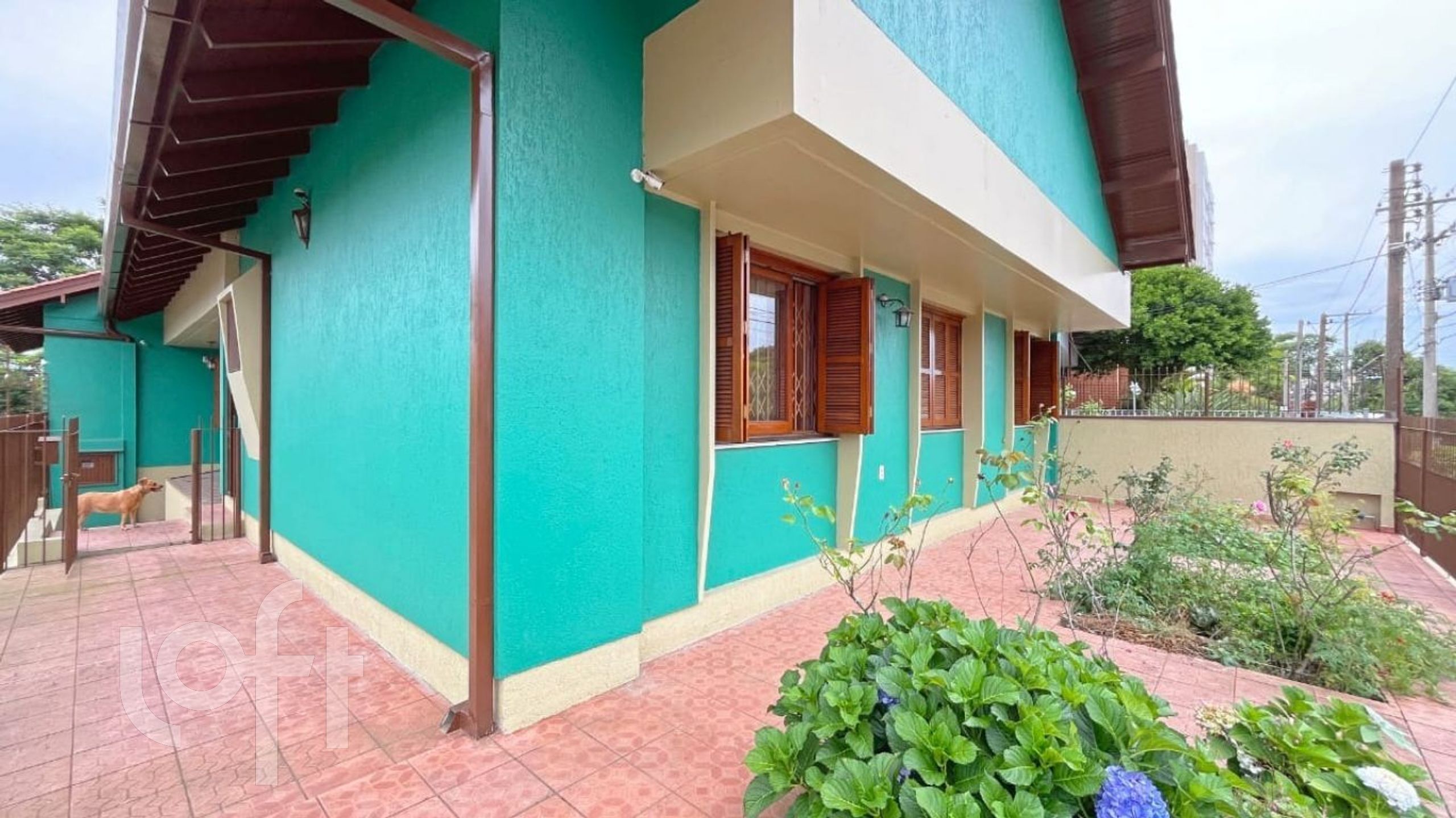 Imagem da propriedade 42