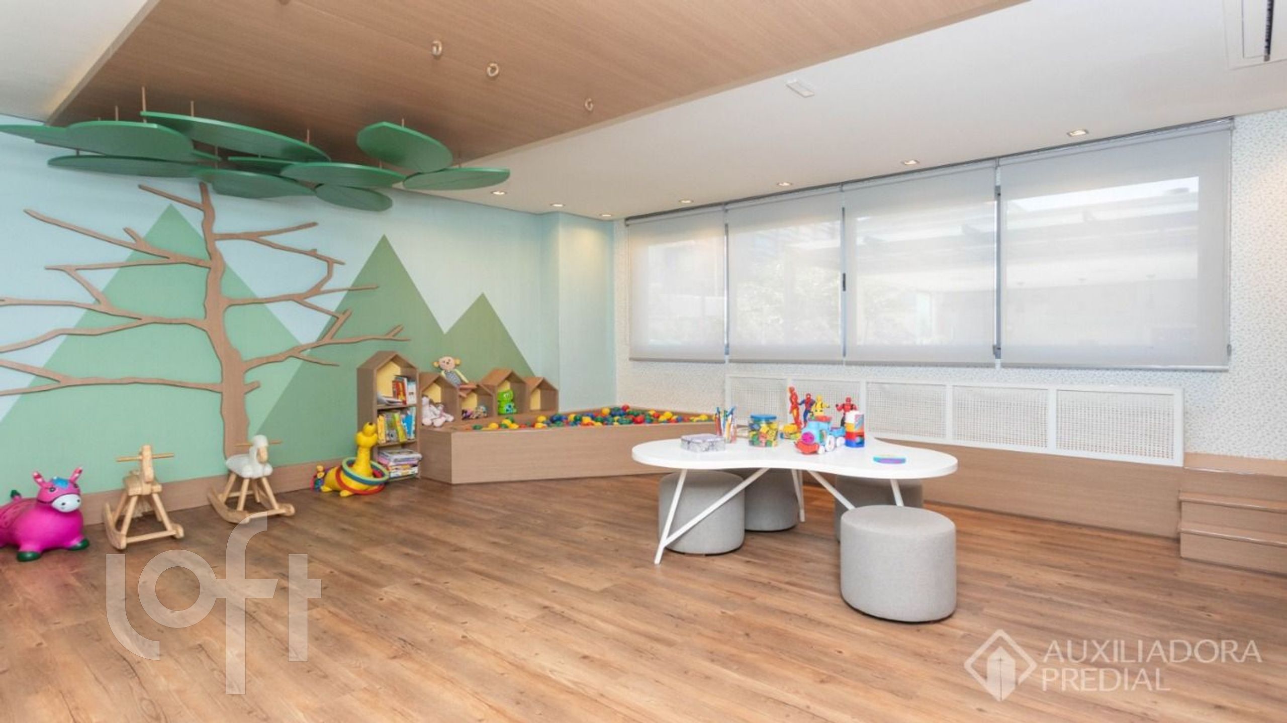 Imagem da propriedade 11