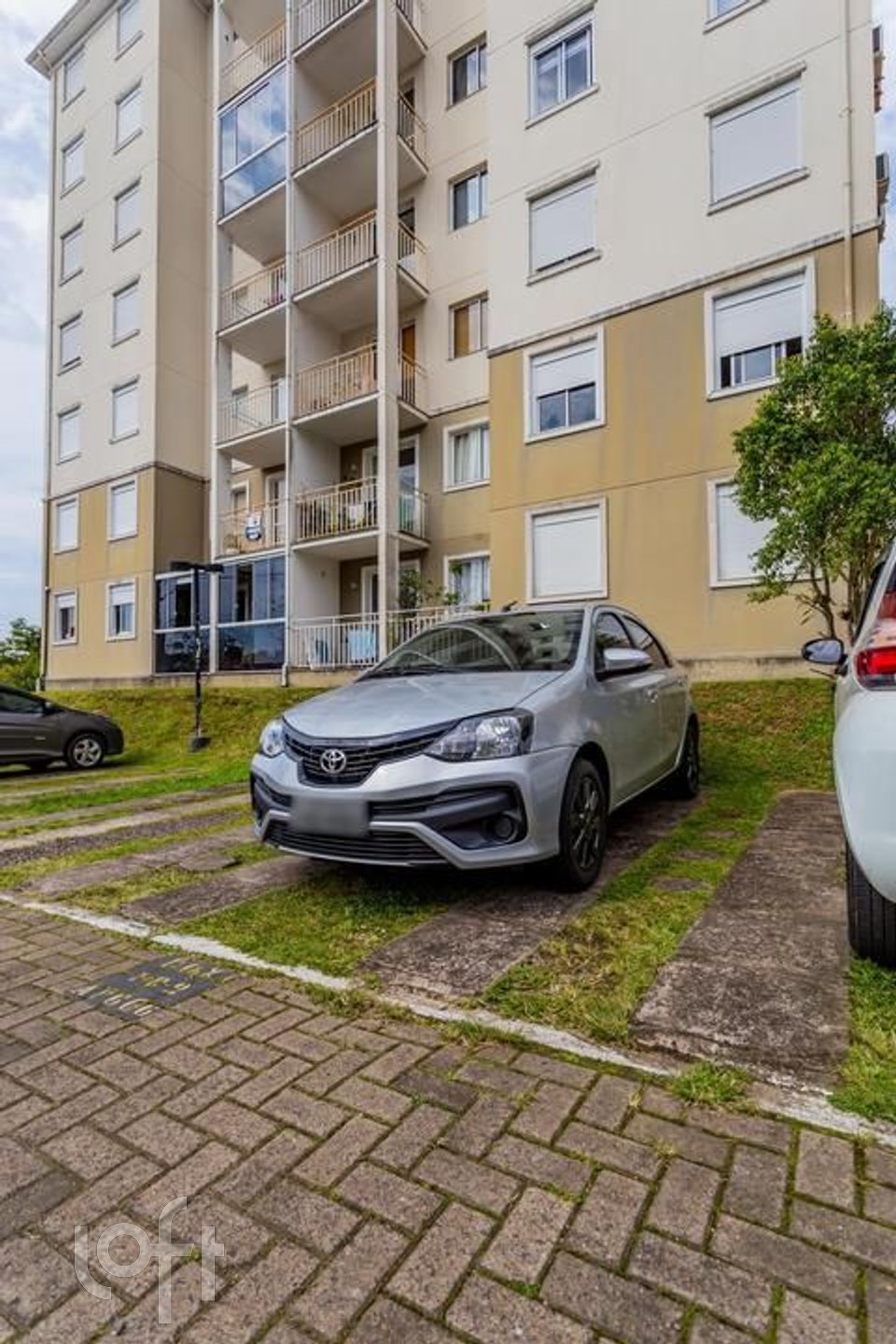 Imagem da propriedade 26