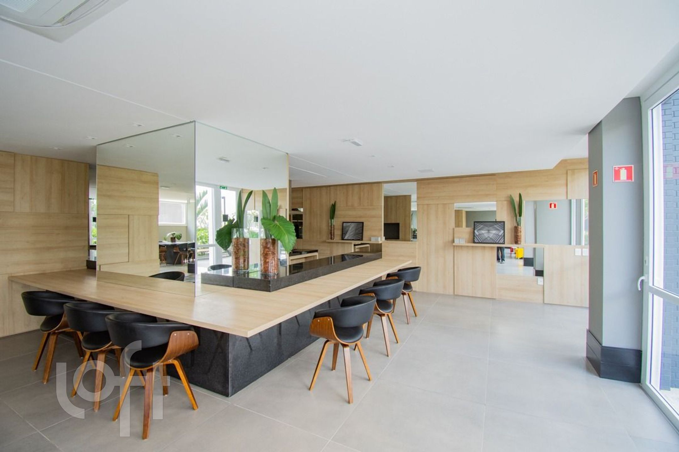 Imagem da propriedade 33