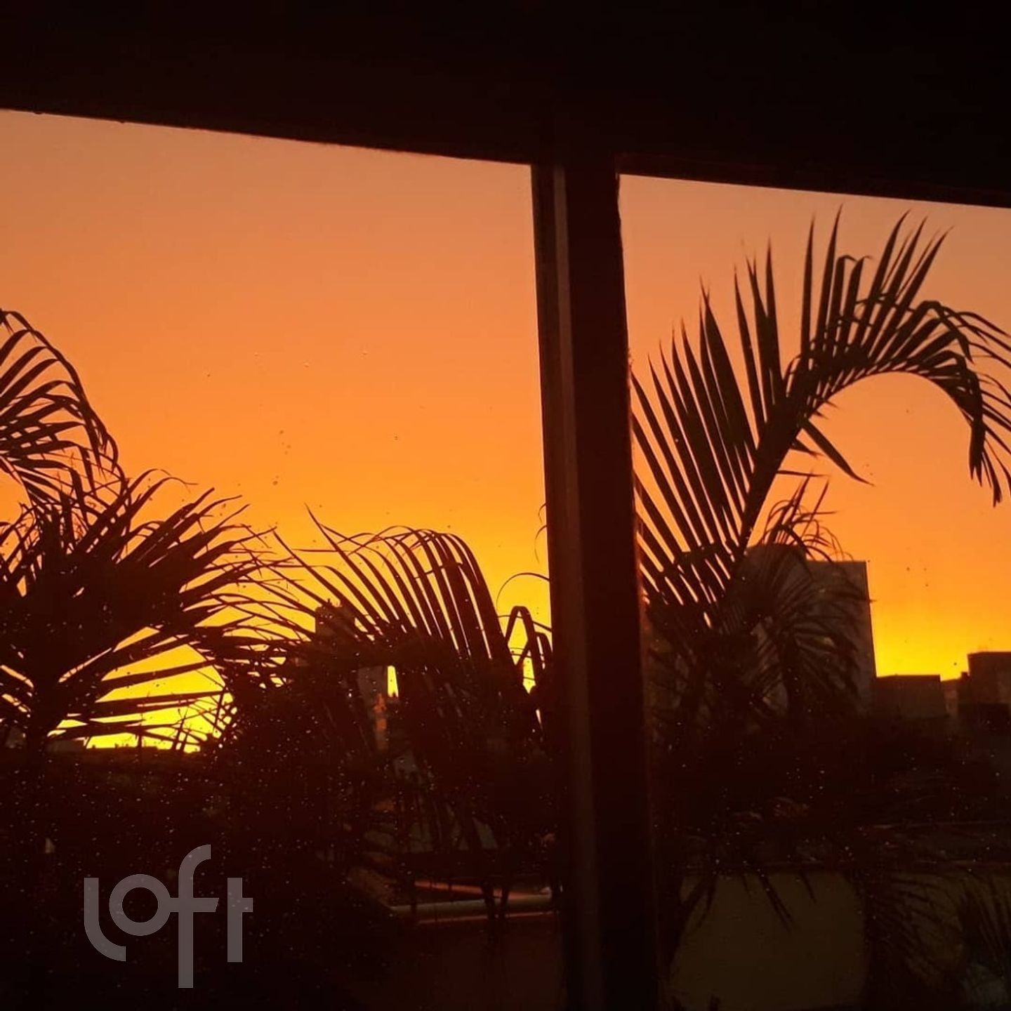 Imagem da propriedade 15