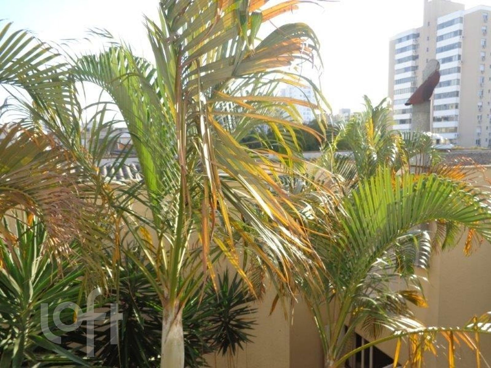 Imagem da propriedade 13